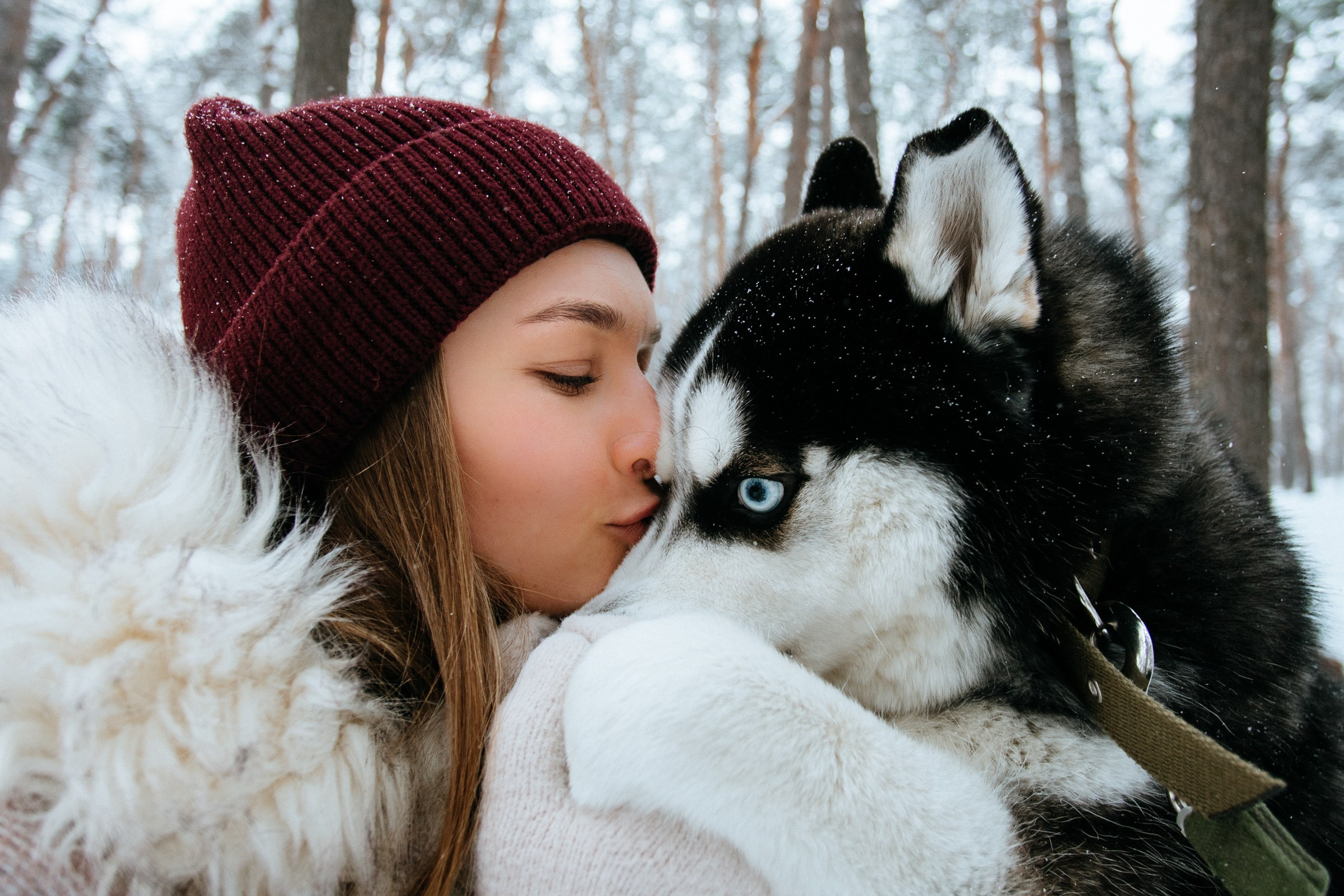Winter love story. Ваш фотограф Алина Ши