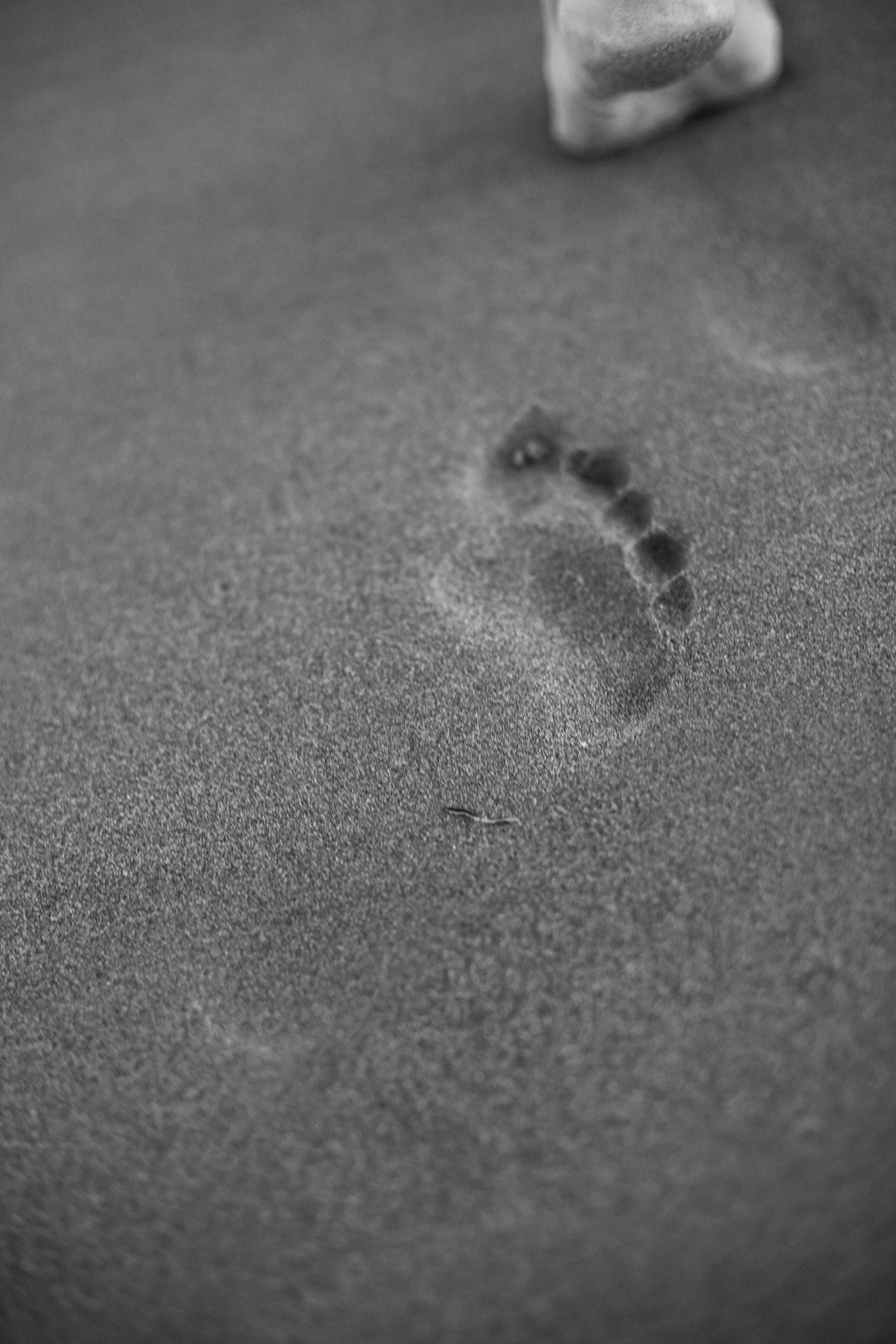 Catherine. Your photographer Alina Shi