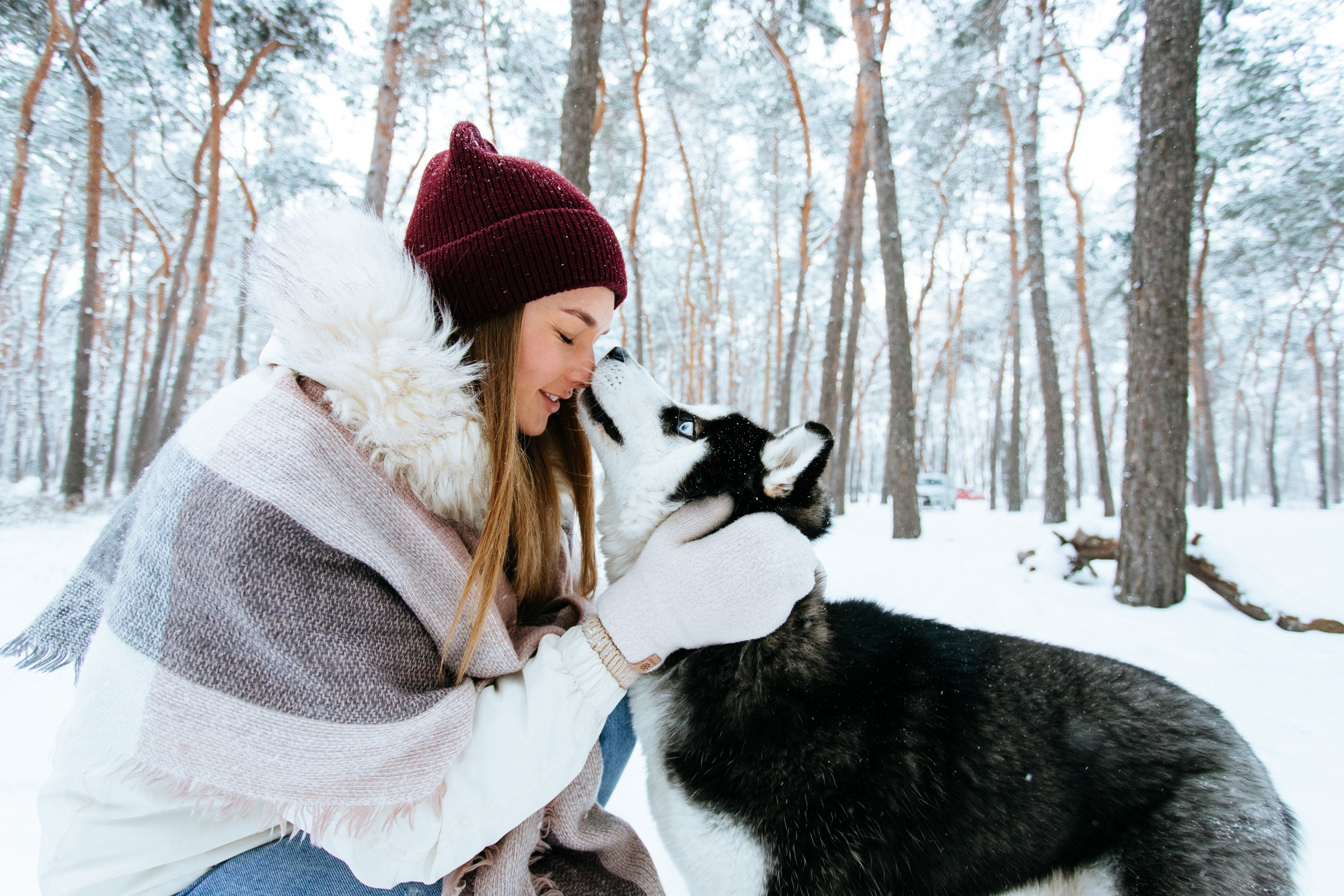 Winter love story. Ваш фотограф Алина Ши