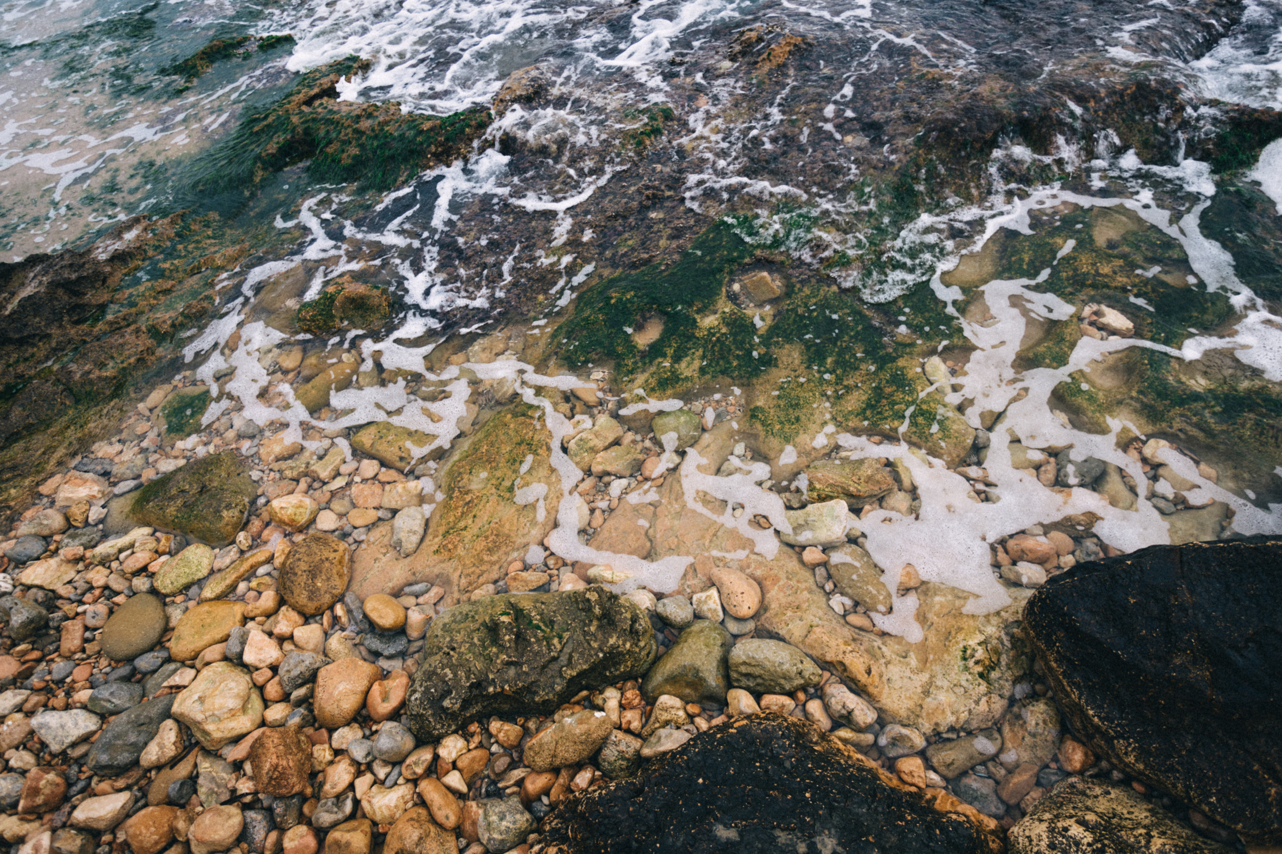 Walk on the beach. Your photographer Alina Shi