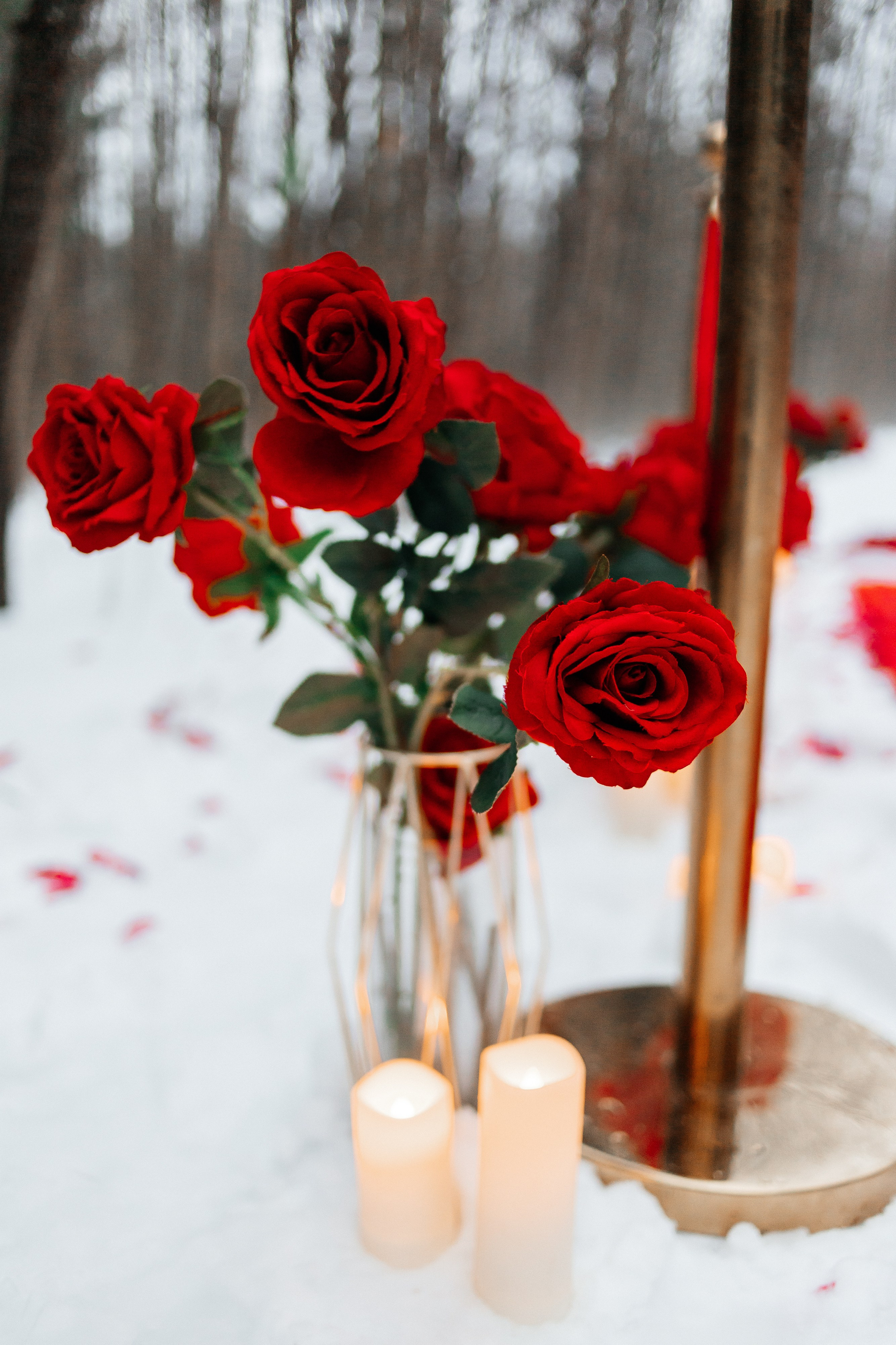 B&L. Ваш фотограф Алина Ши