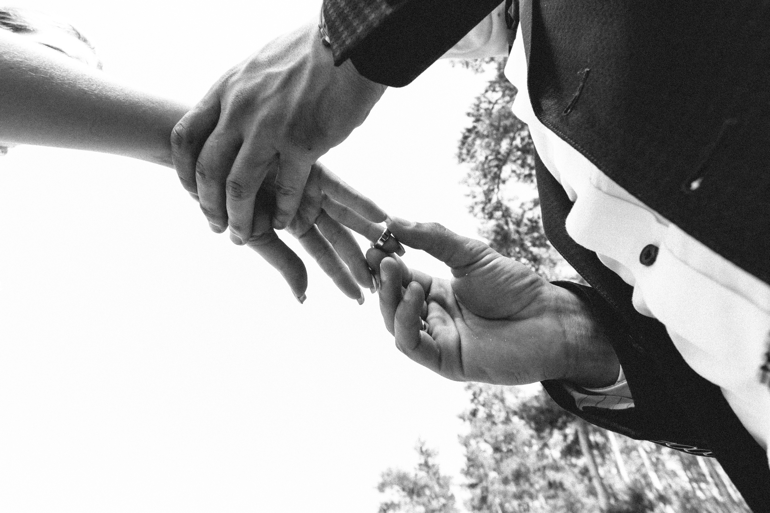 Дмитрий и Валерия. Ваш фотограф Алина Ши