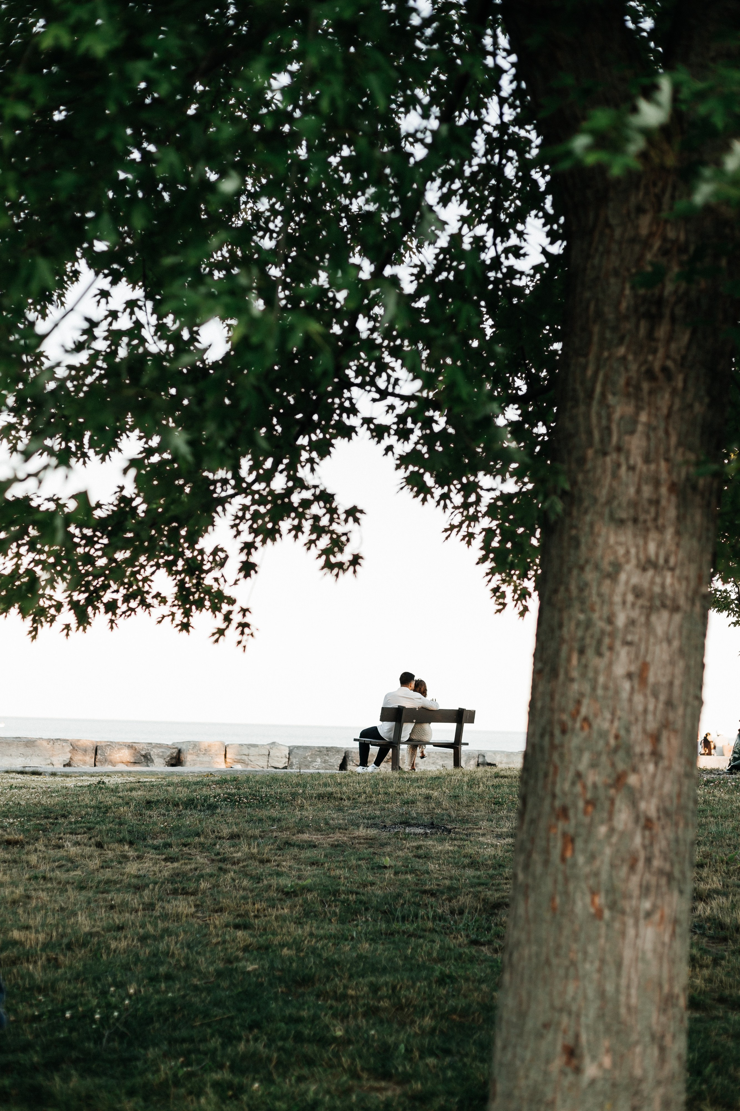 Love Story in the Bluffer’s Park. Ваш фотограф Алина Ши