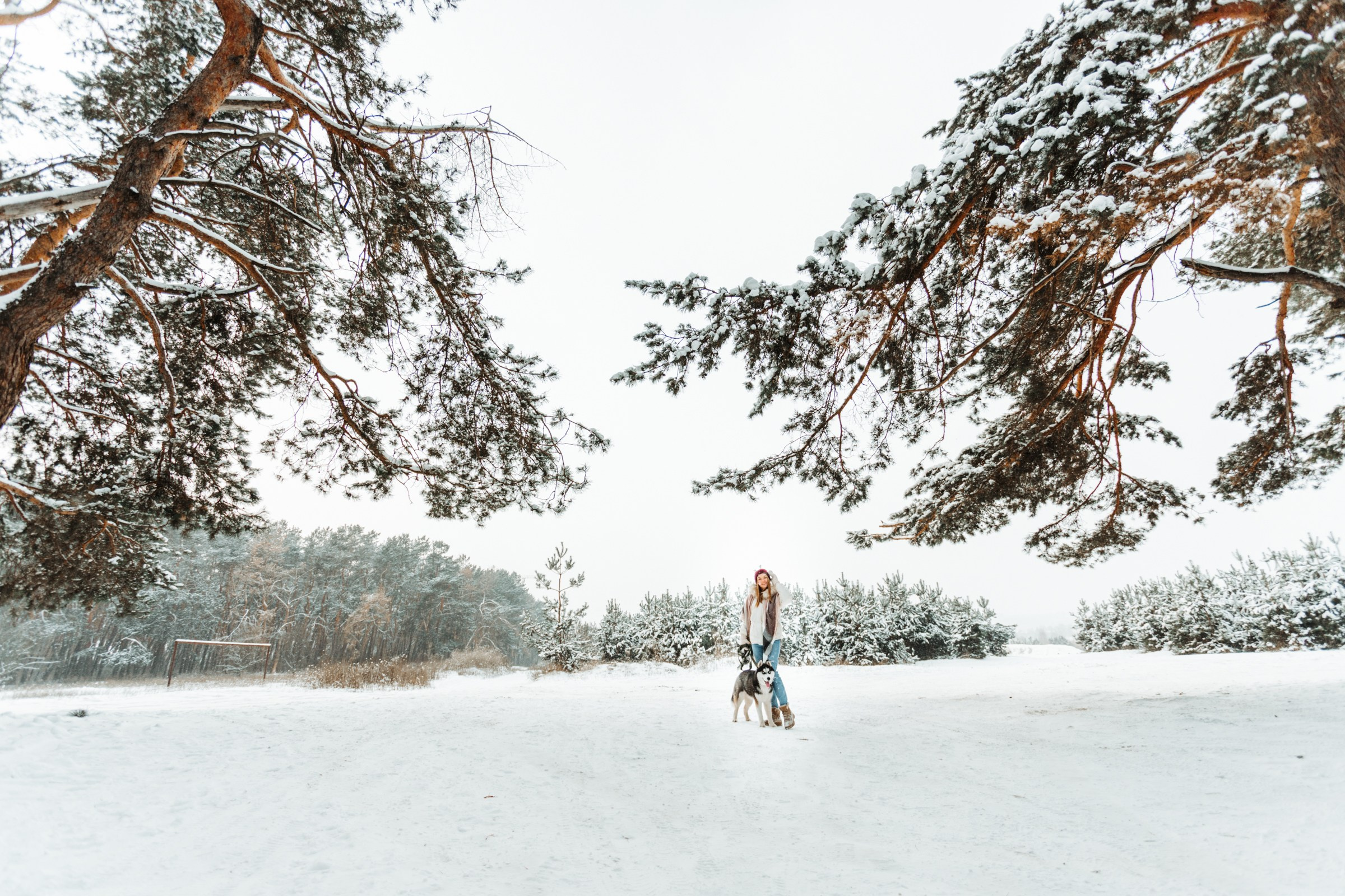 Winter love story. Ваш фотограф Алина Ши