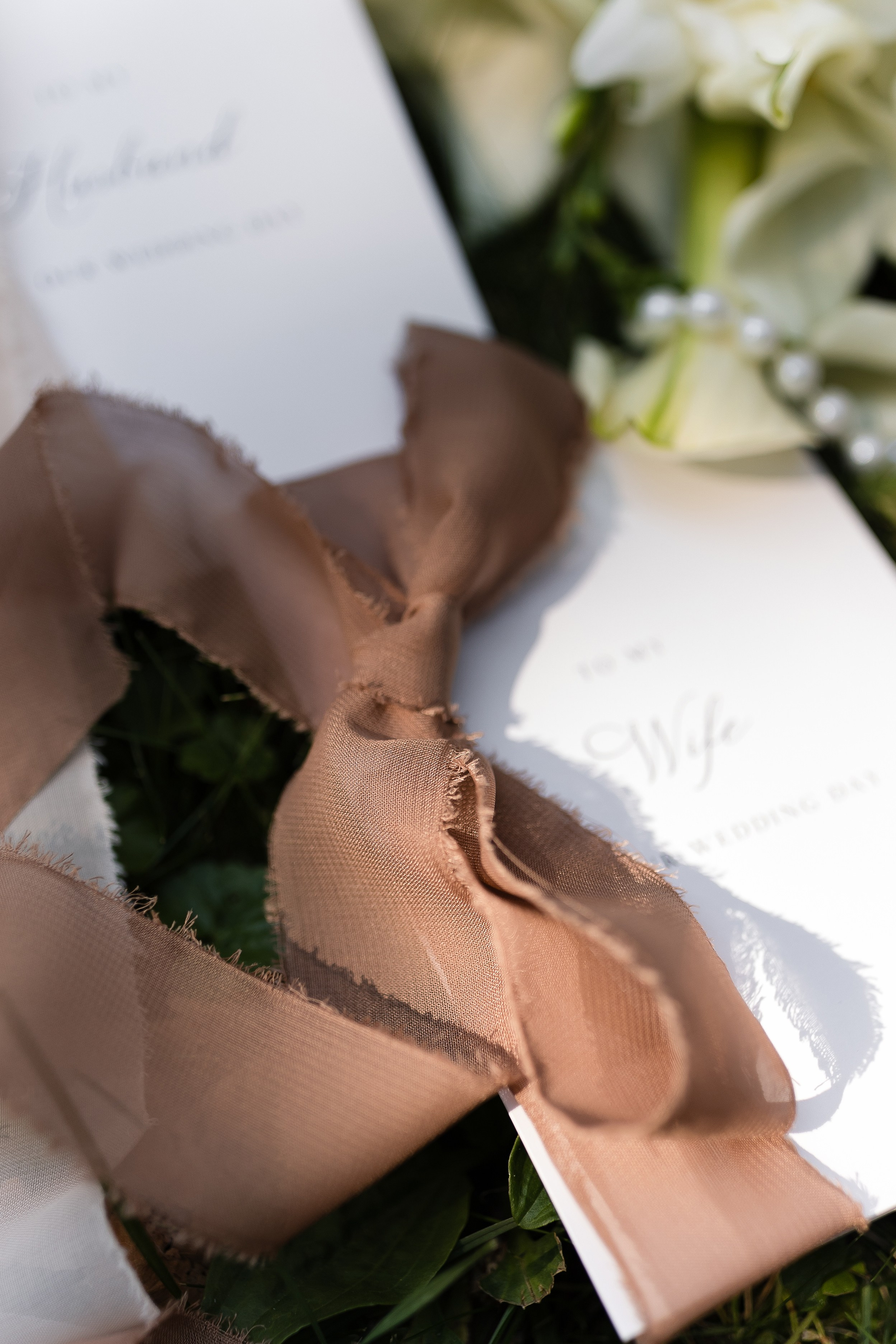 Diana and Ivan 2025. Весільний та сімейний фотограф Черкаси-Київ