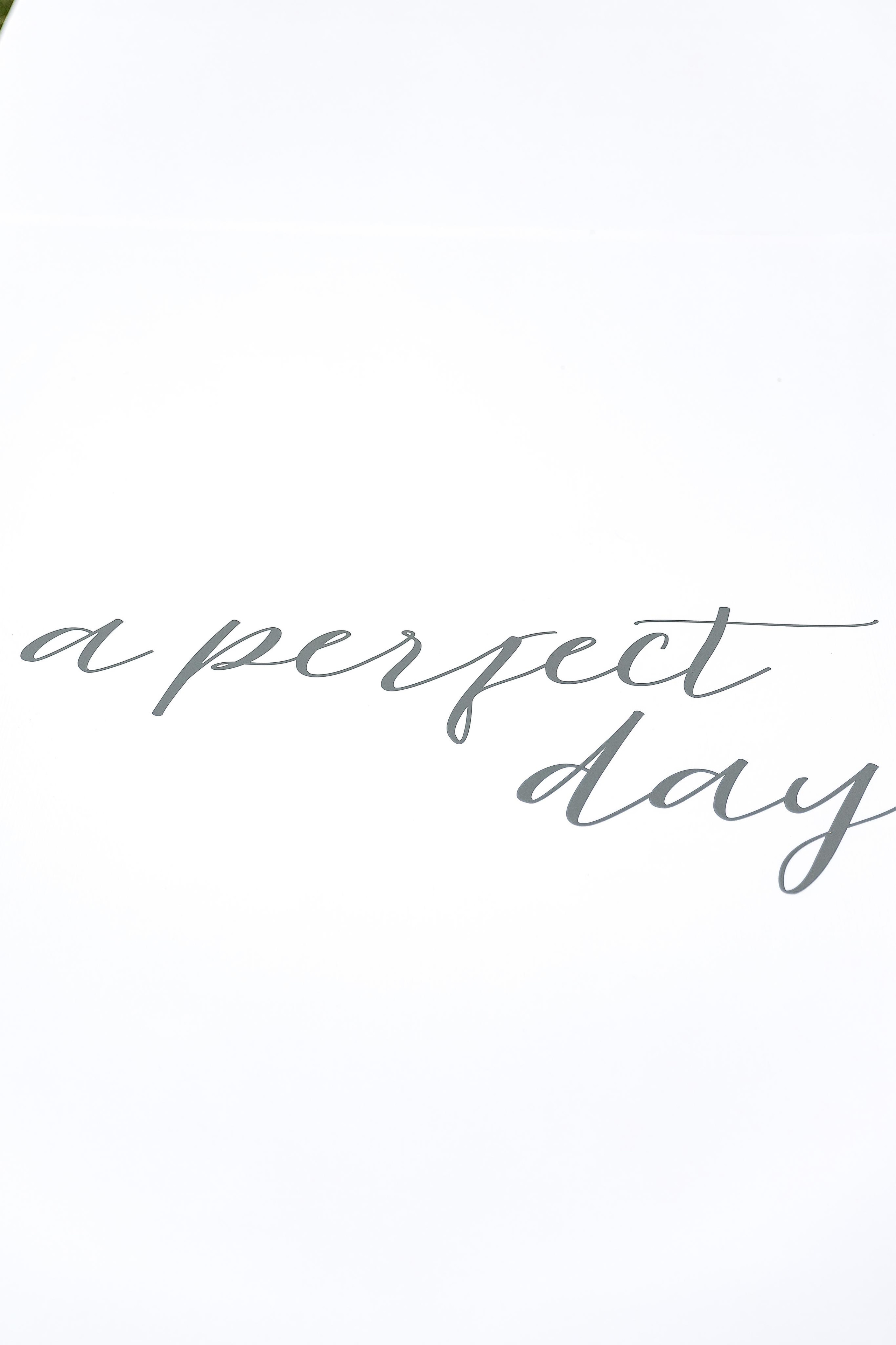 Оля та Влад. Весільний та сімейний фотограф Черкаси-Київ