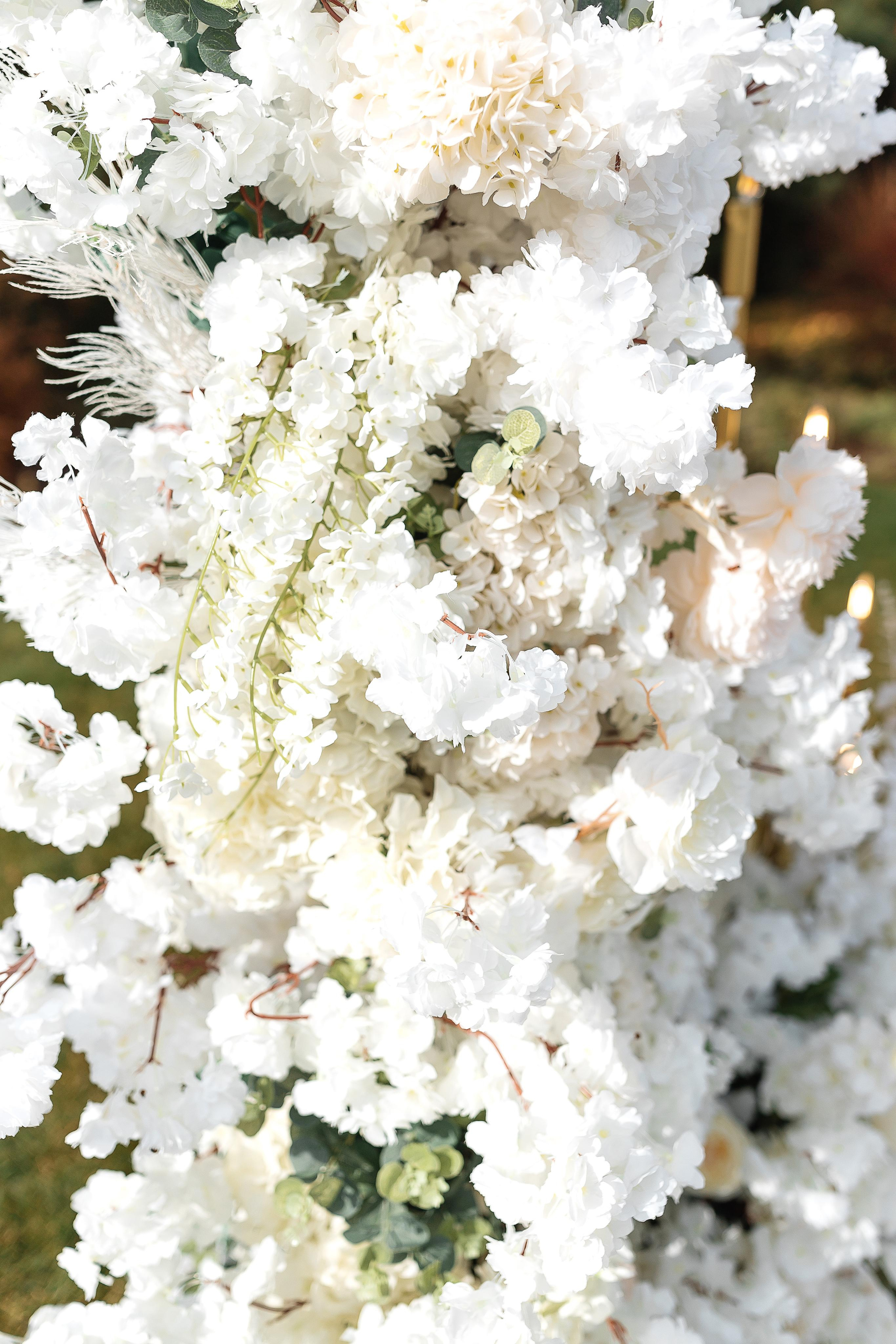 Альона та Саша. Весільний та сімейний фотограф Черкаси-Київ