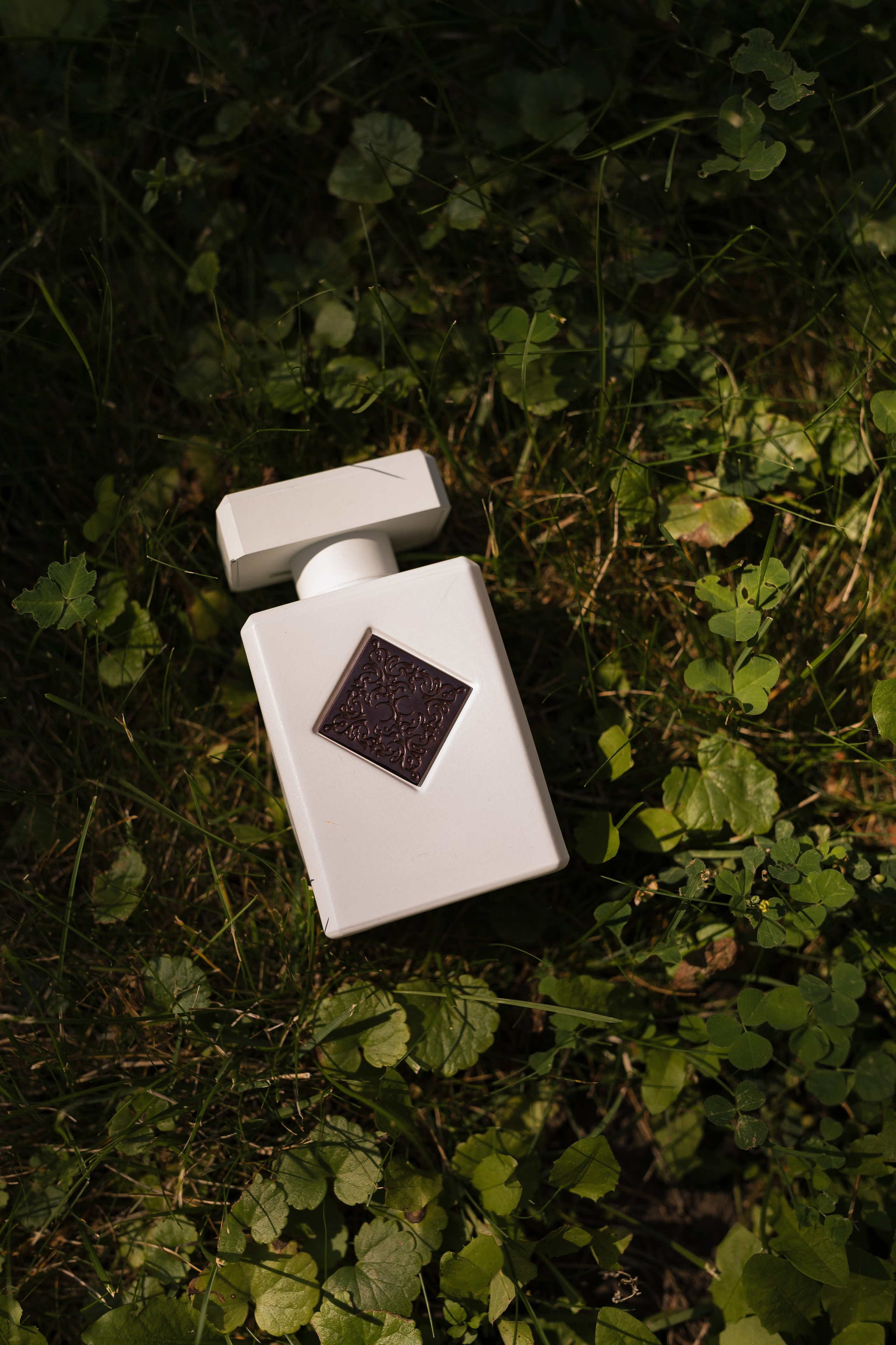 Diana and Ivan 2025. Весільний та сімейний фотограф Черкаси-Київ