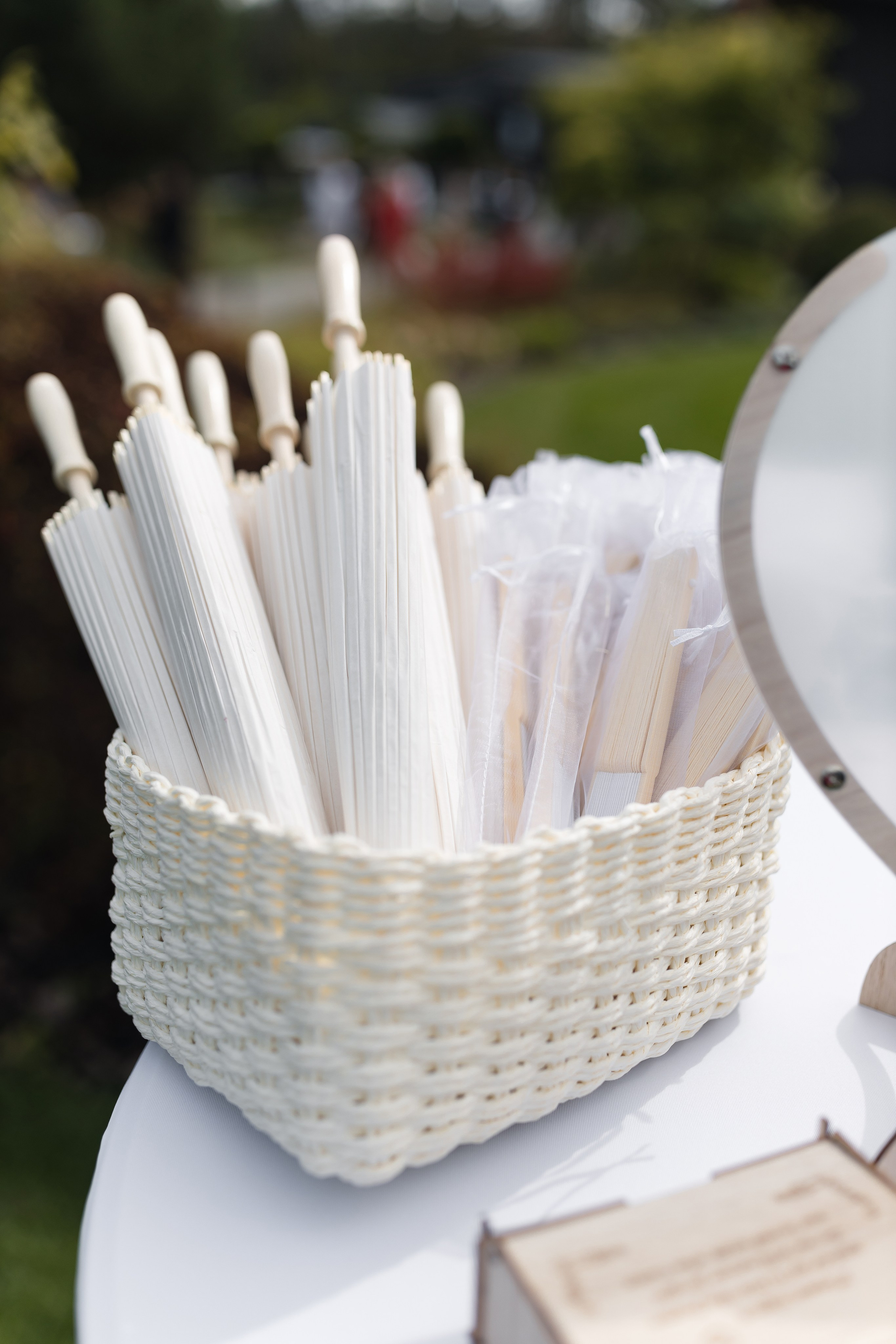 Elena and Nazar 2025. Весільний та сімейний фотограф Черкаси-Київ