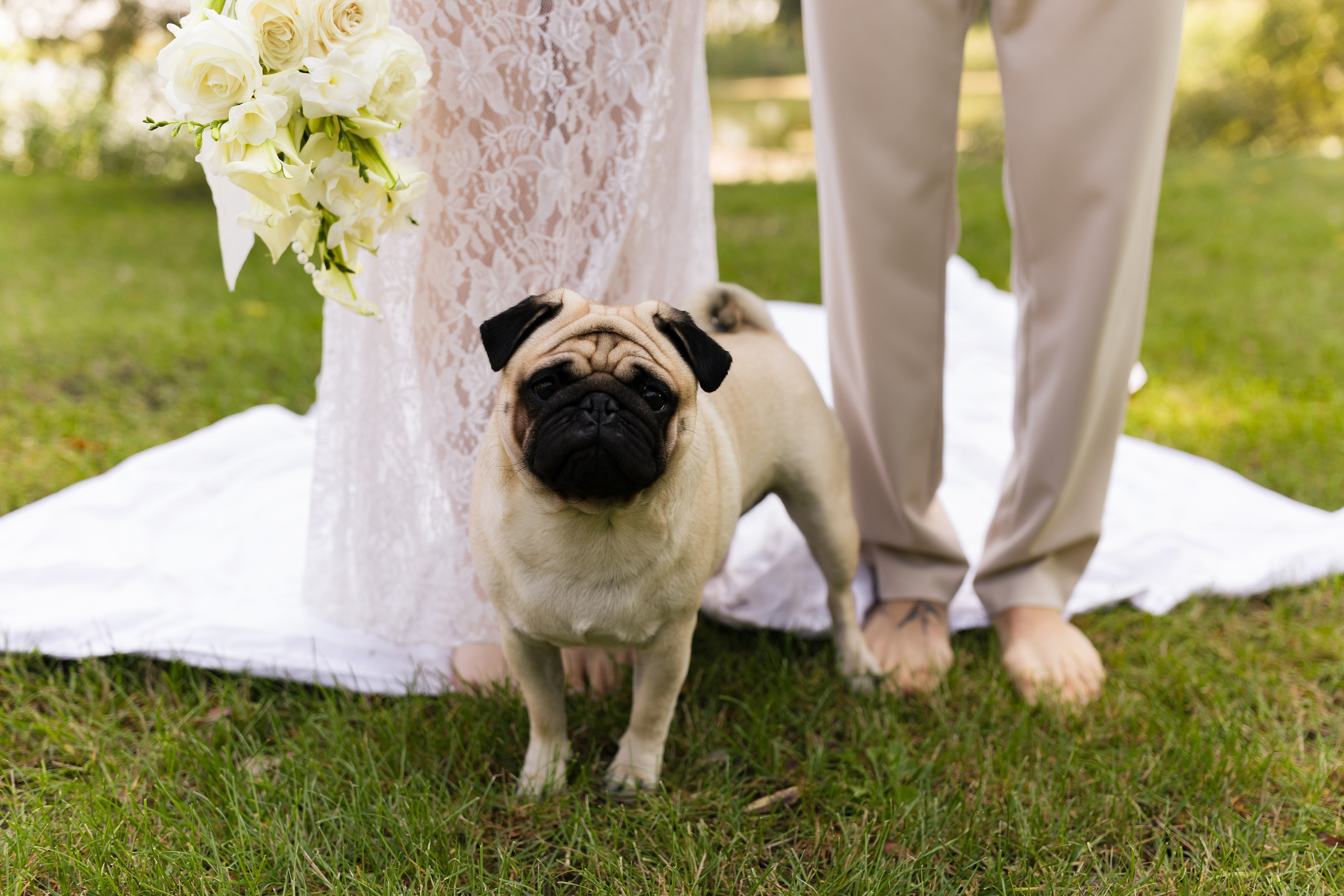 Diana and Ivan 2025. Весільний та сімейний фотограф Черкаси-Київ