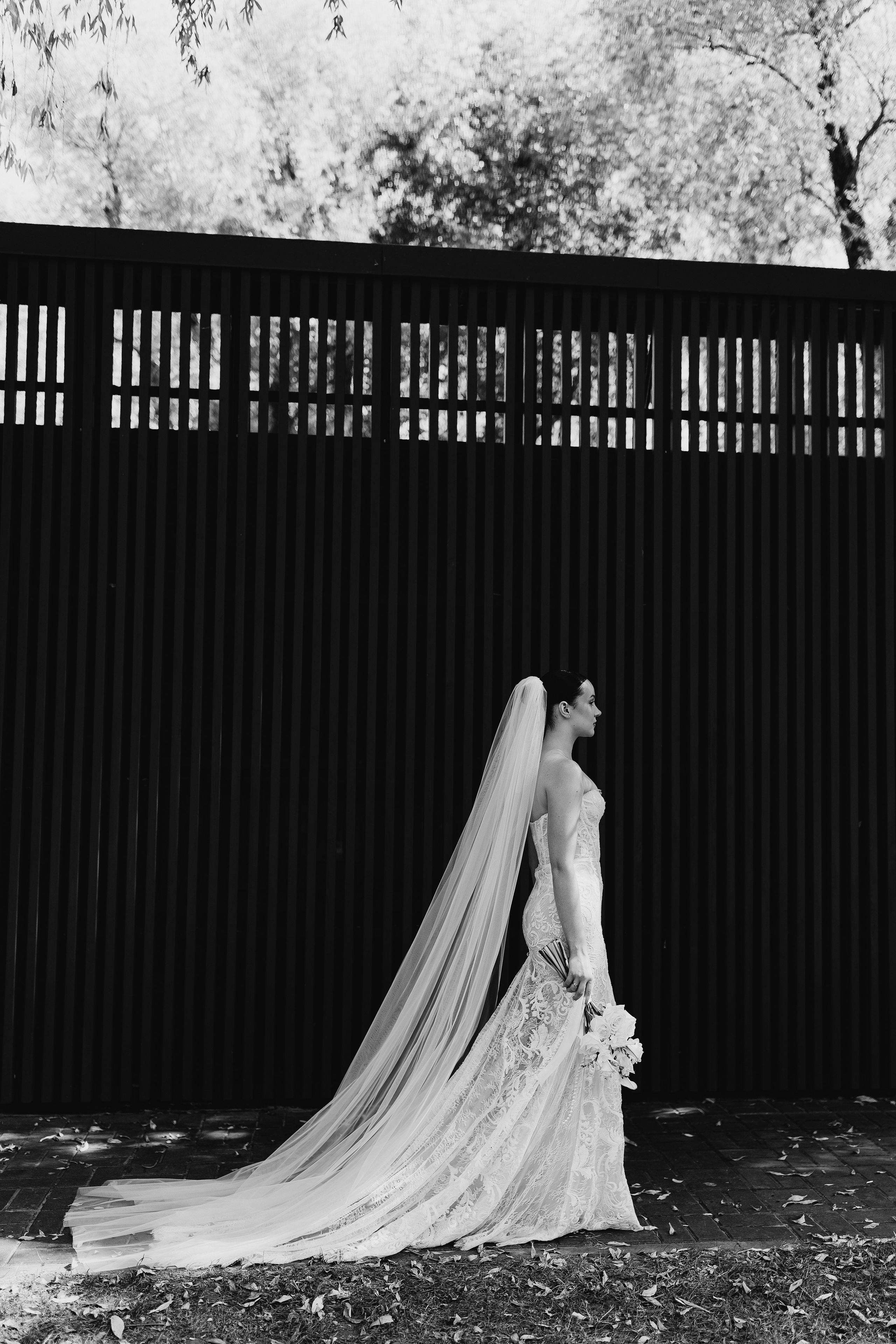 Diana and Ivan 2025. Весільний та сімейний фотограф Черкаси-Київ