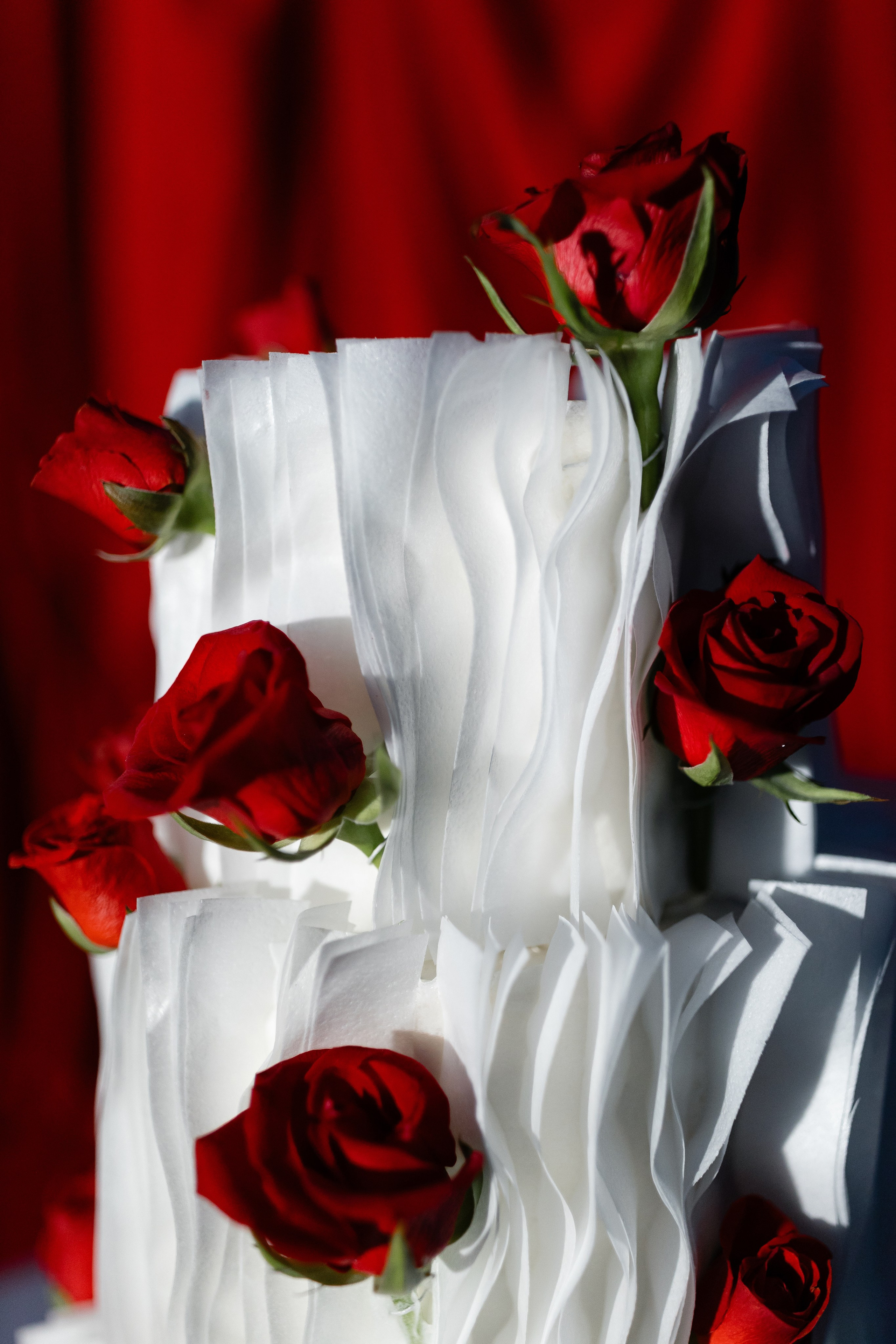 Elena and Nazar 2025. Весільний та сімейний фотограф Черкаси-Київ