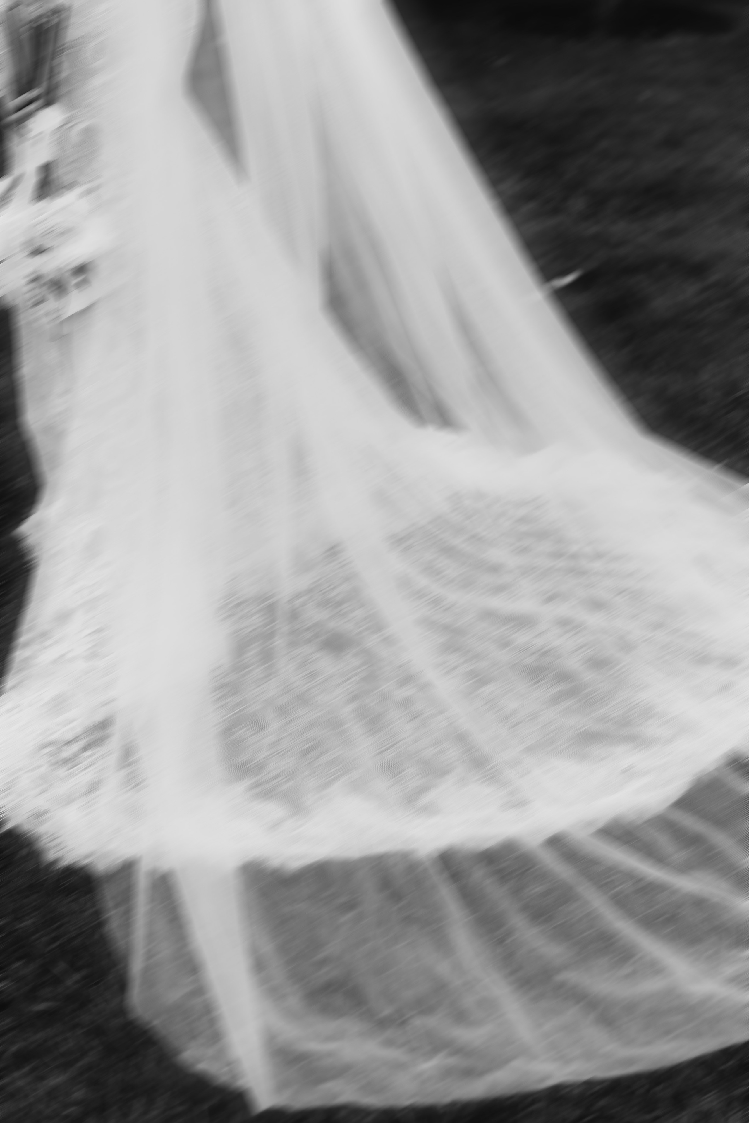 Diana and Ivan 2025. Весільний та сімейний фотограф Черкаси-Київ