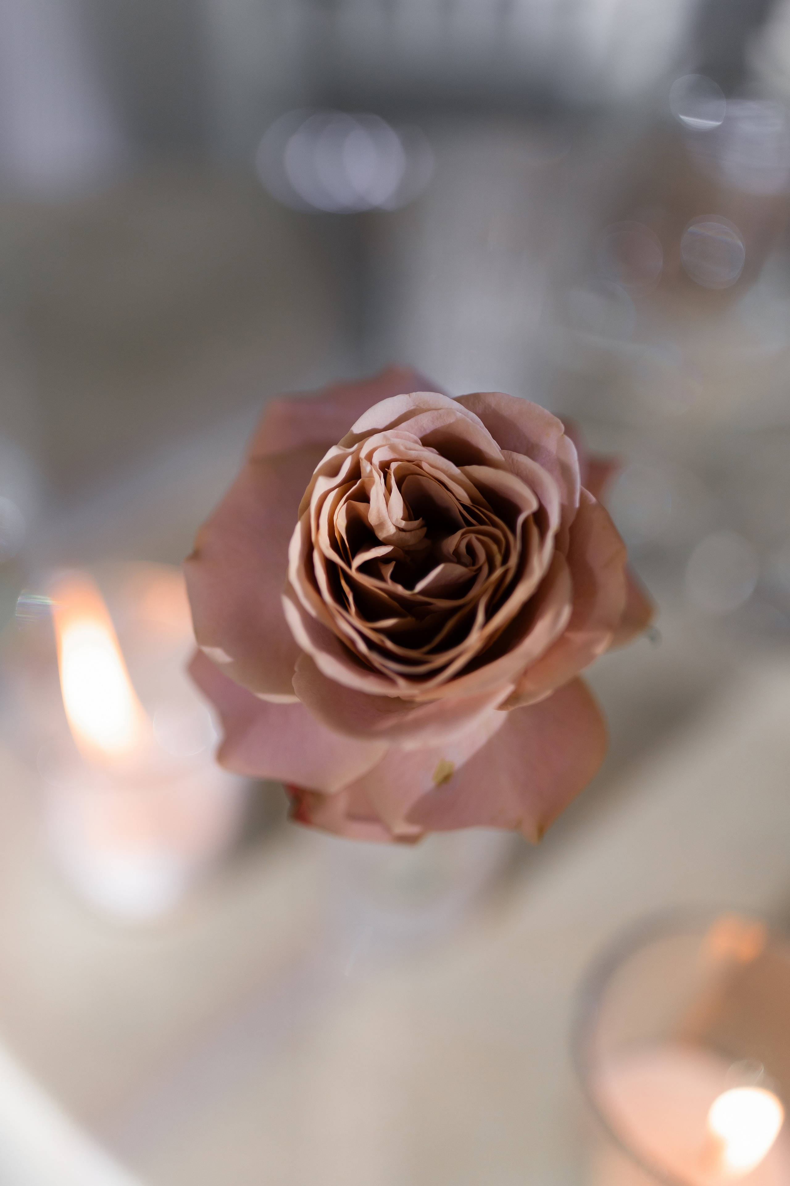 Sasha and Sasha 2025. Весільний та сімейний фотограф Черкаси-Київ