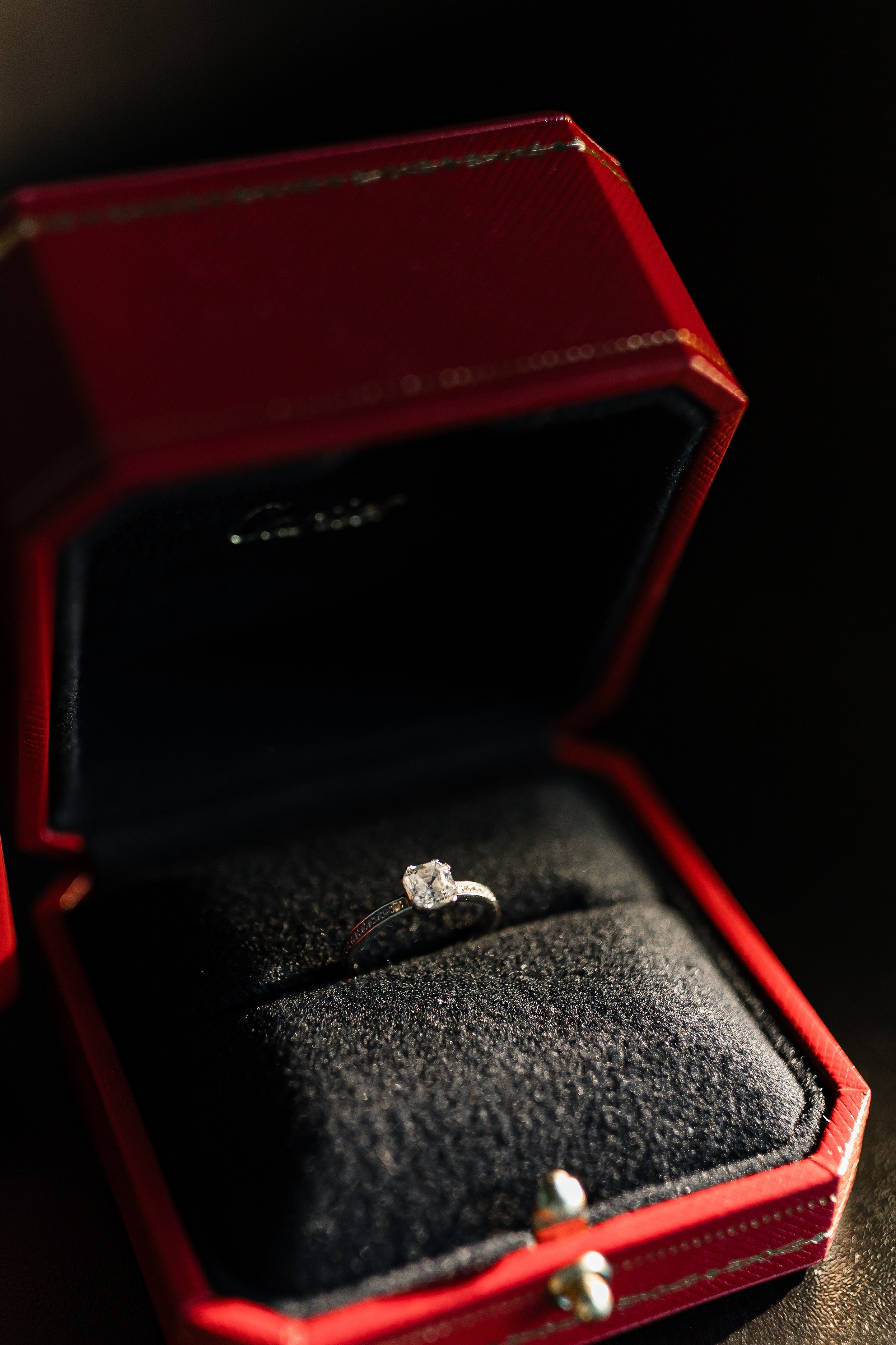 Sasha and Sasha 2025. Весільний та сімейний фотограф Черкаси-Київ