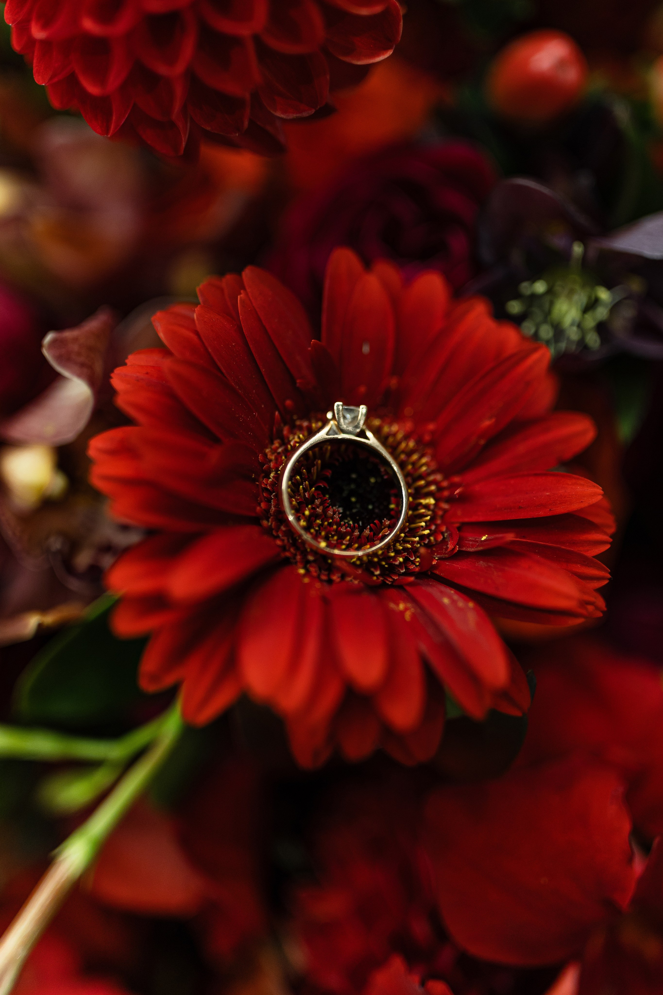 Elena and Nazar 2025. Весільний та сімейний фотограф Черкаси-Київ