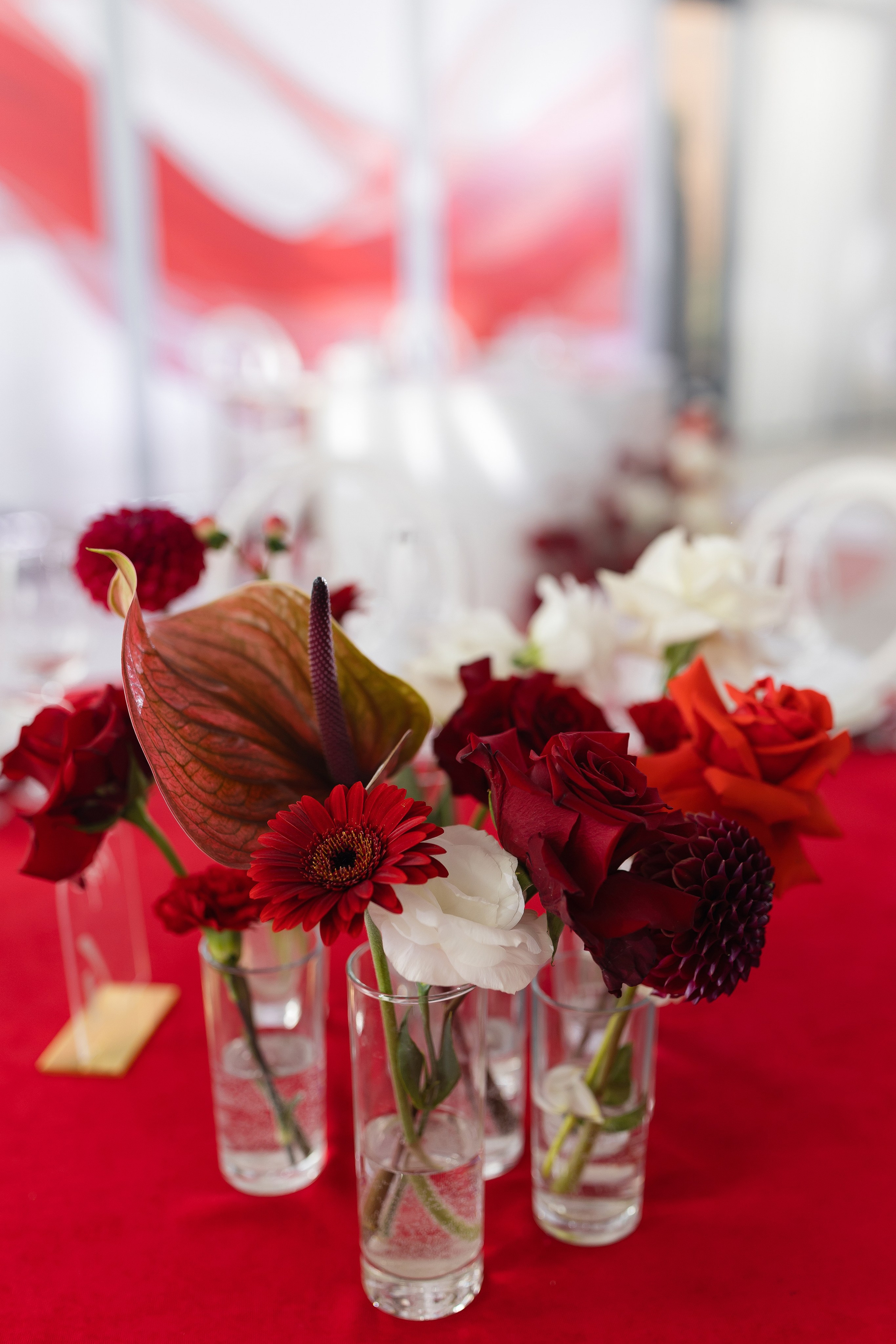 Elena and Nazar 2025. Весільний та сімейний фотограф Черкаси-Київ