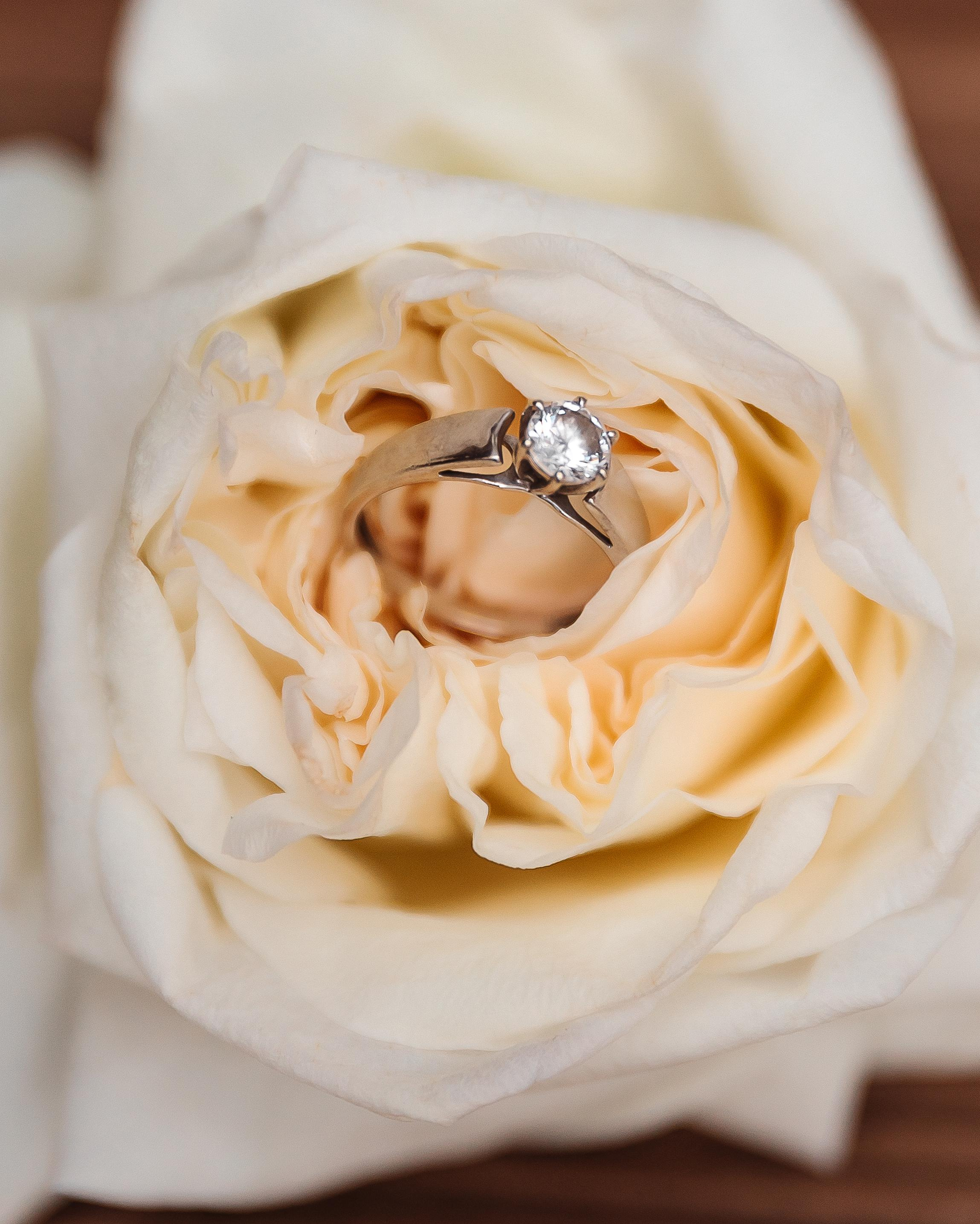 Альона та Саша. Весільний та сімейний фотограф Черкаси-Київ