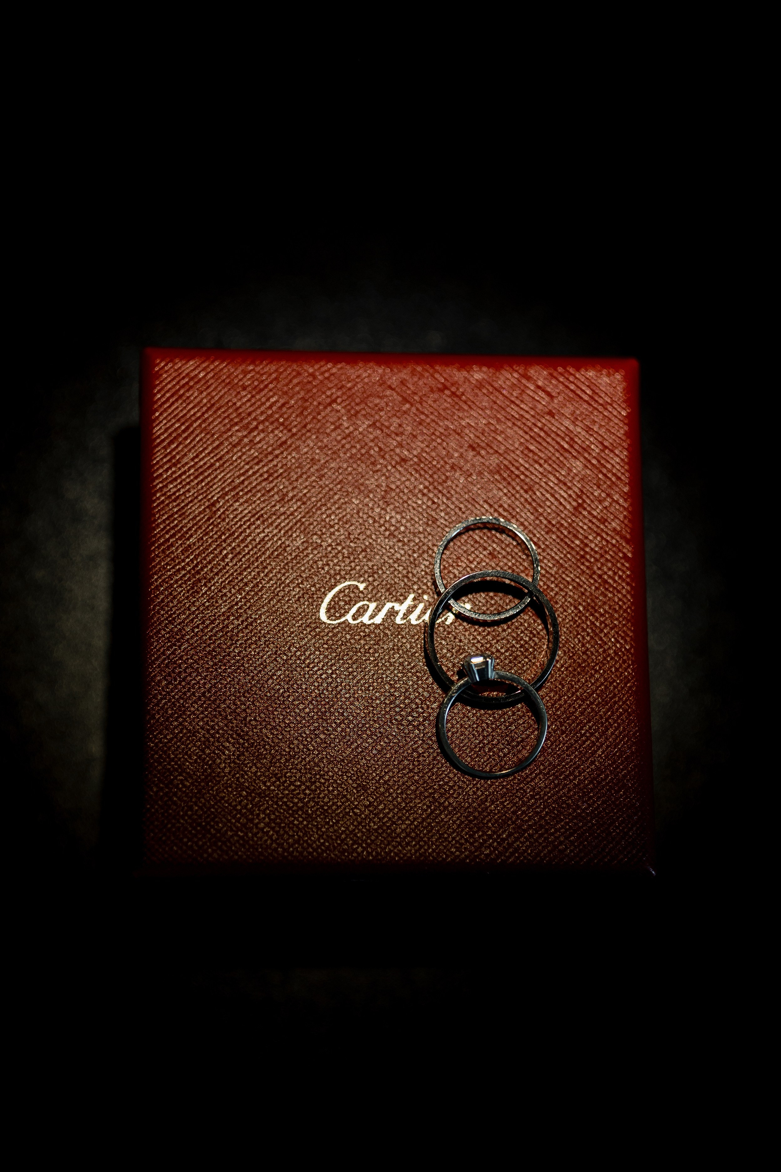 Sasha and Sasha 2025. Весільний та сімейний фотограф Черкаси-Київ