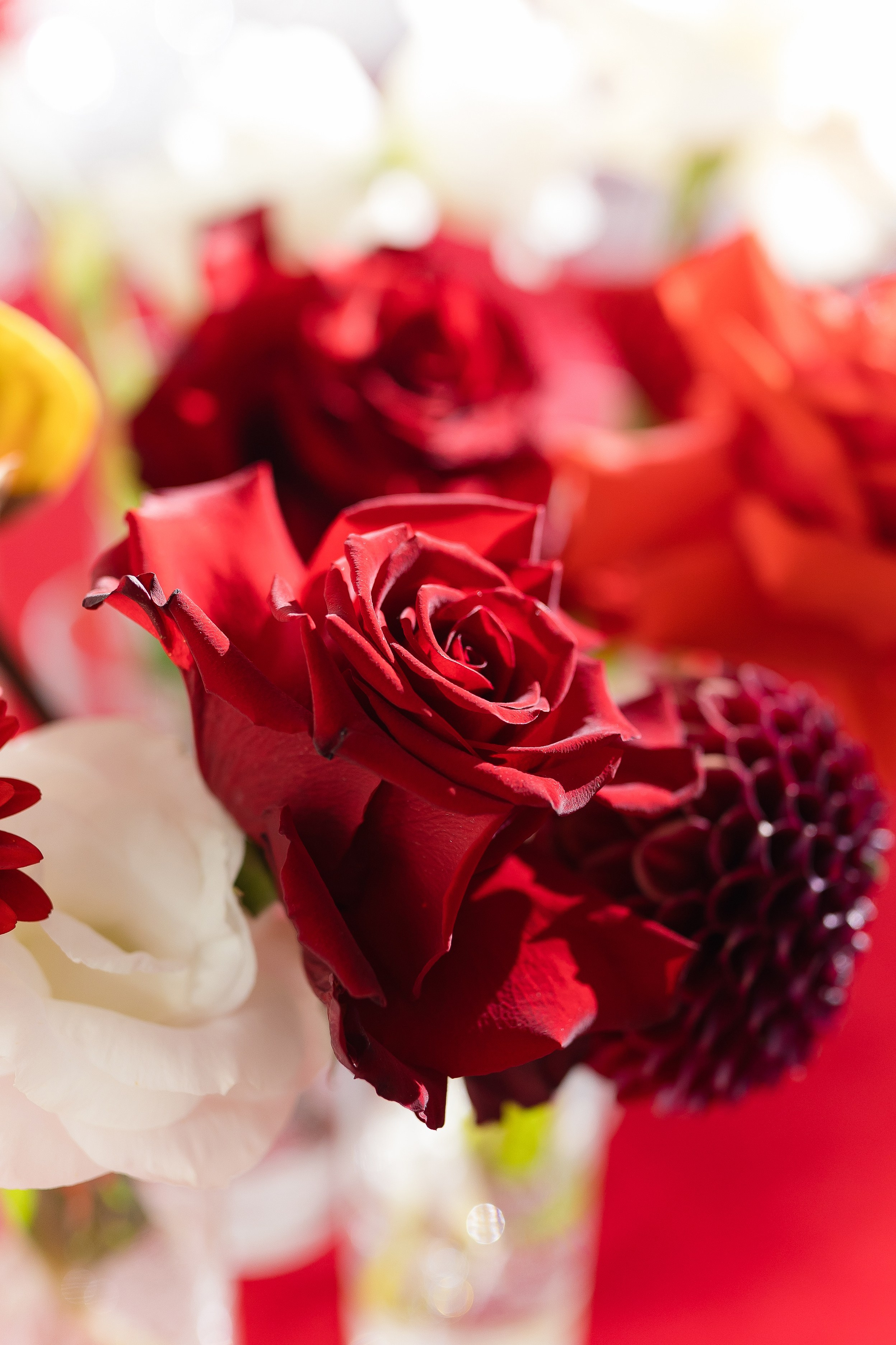 Elena and Nazar 2025. Весільний та сімейний фотограф Черкаси-Київ