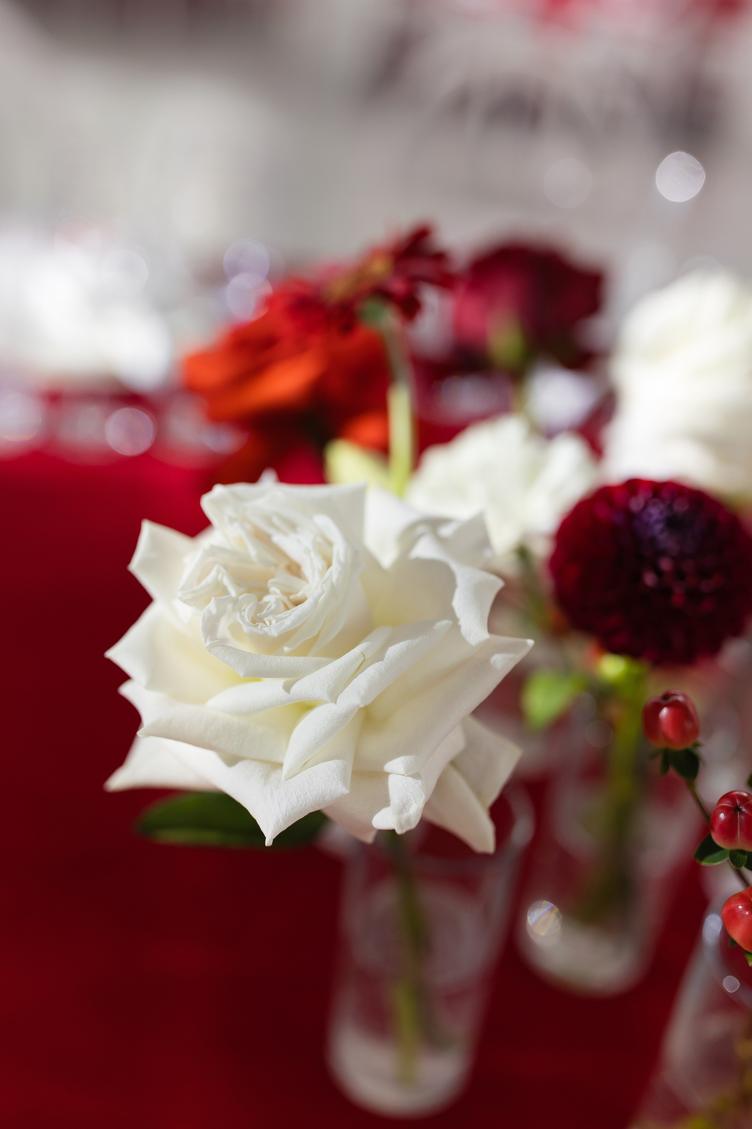 Elena and Nazar 2025. Весільний та сімейний фотограф Черкаси-Київ