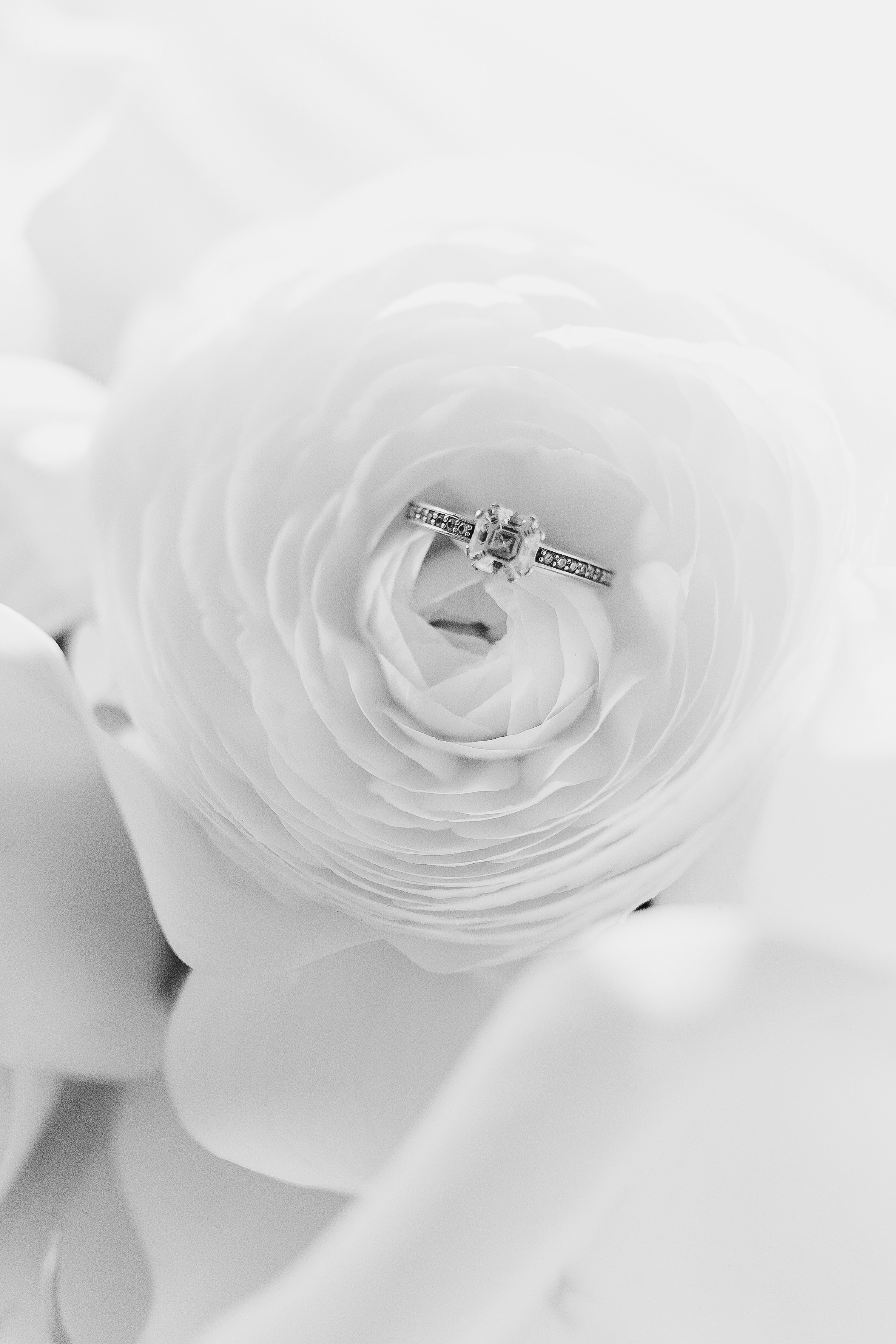 Sasha and Sasha 2025. Весільний та сімейний фотограф Черкаси-Київ