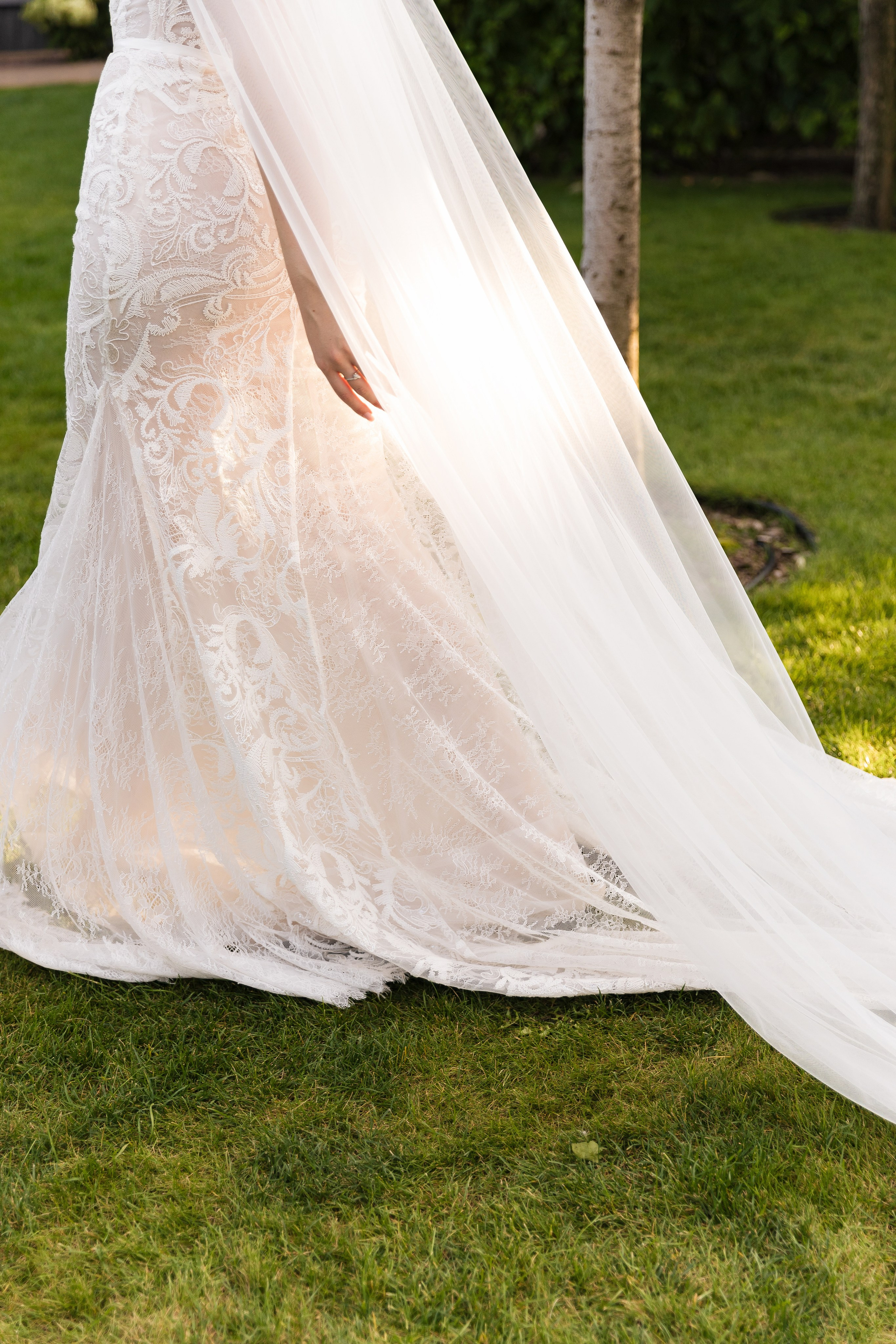 Diana and Ivan 2025. Весільний та сімейний фотограф Черкаси-Київ