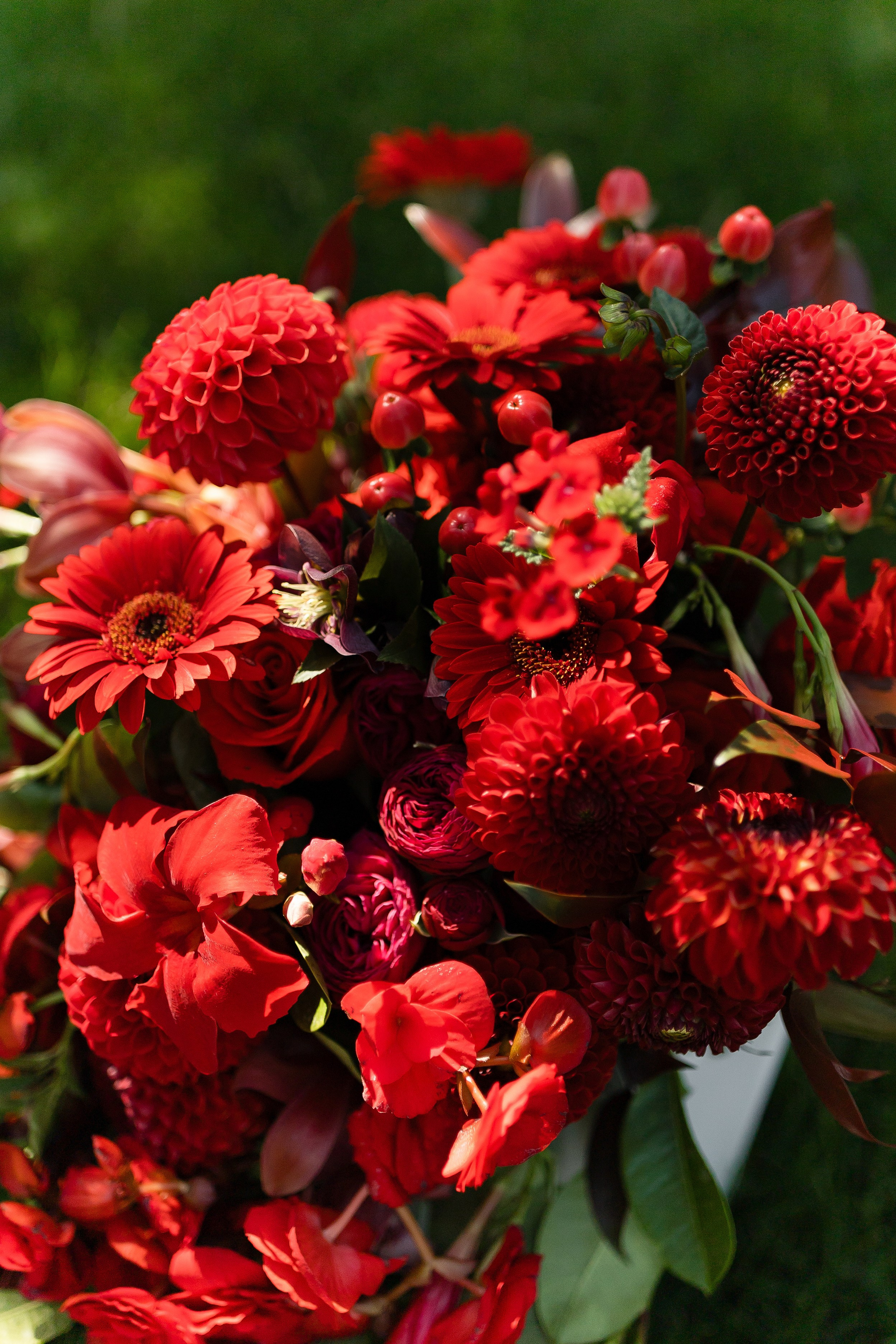 Elena and Nazar 2025. Весільний та сімейний фотограф Черкаси-Київ