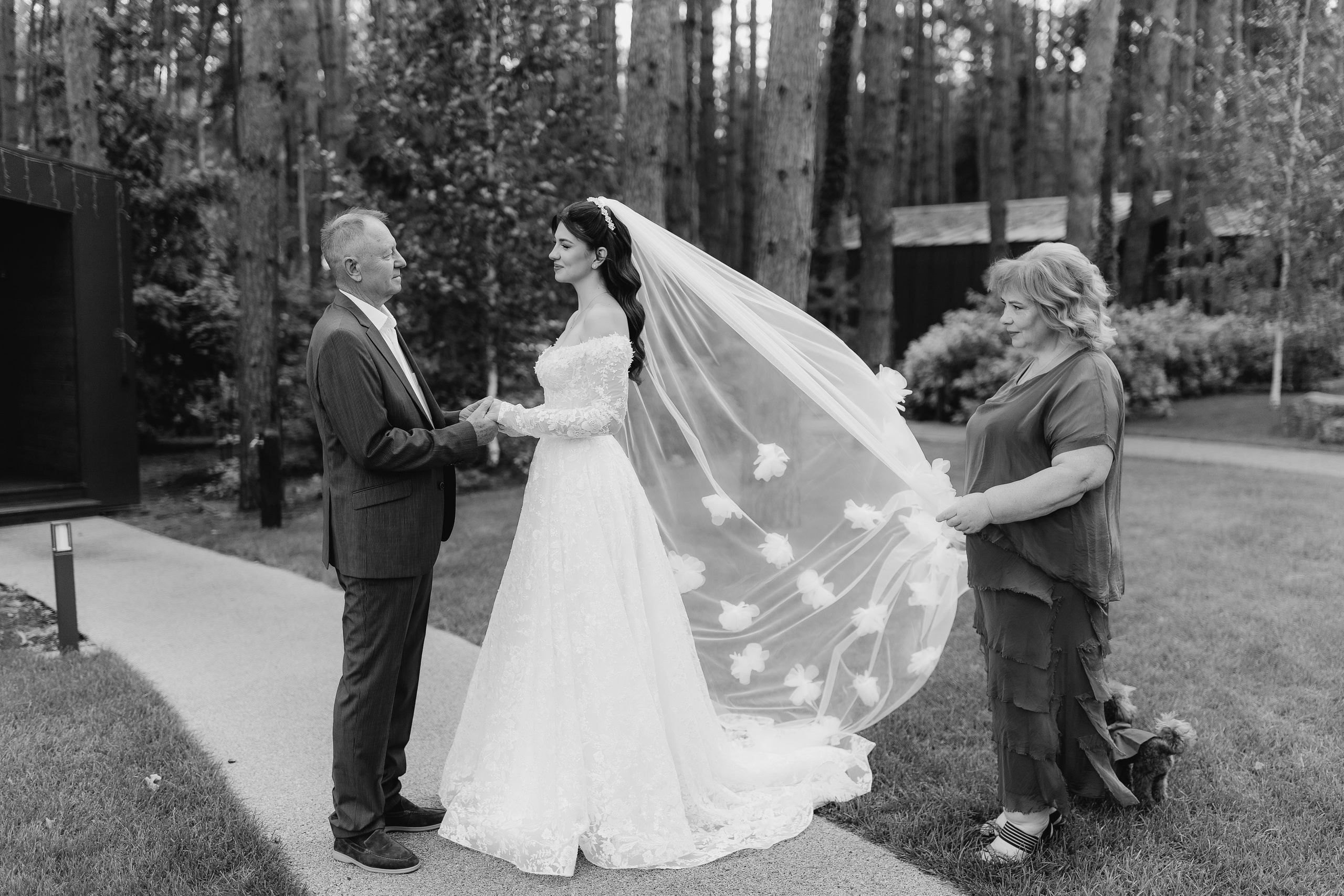 Elena and Nazar 2025. Весільний та сімейний фотограф Черкаси-Київ