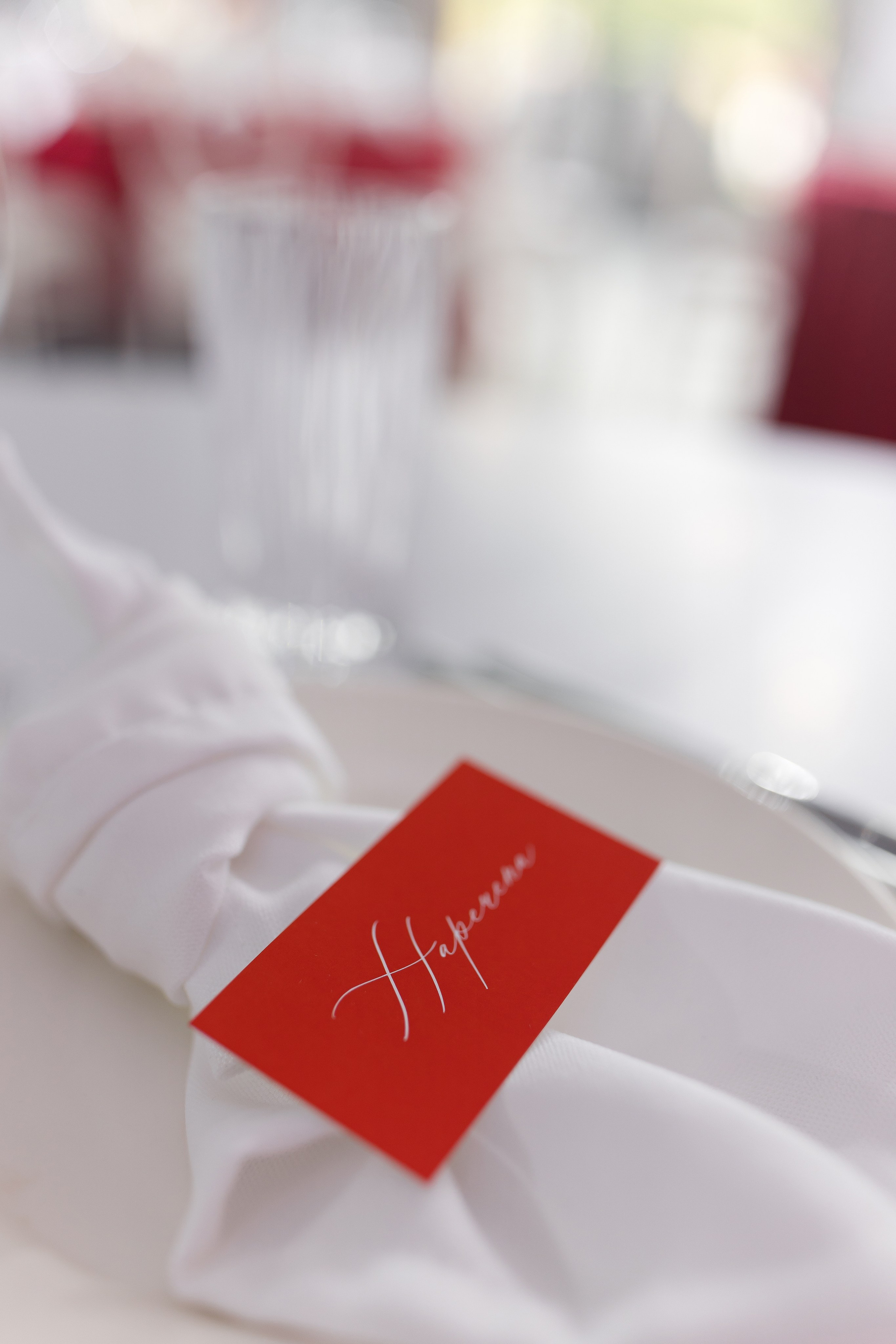 Elena and Nazar 2025. Весільний та сімейний фотограф Черкаси-Київ