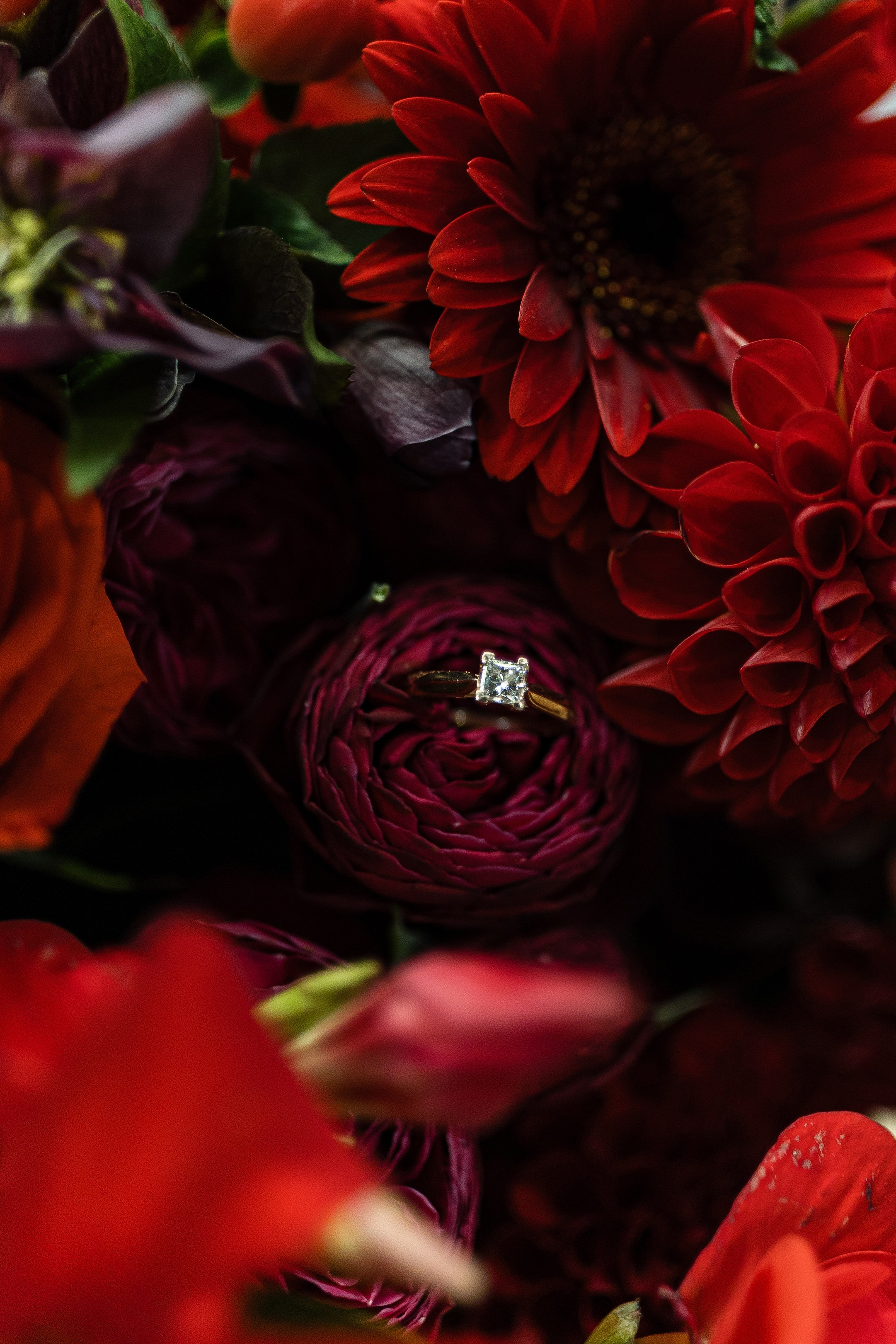 Elena and Nazar 2025. Весільний та сімейний фотограф Черкаси-Київ