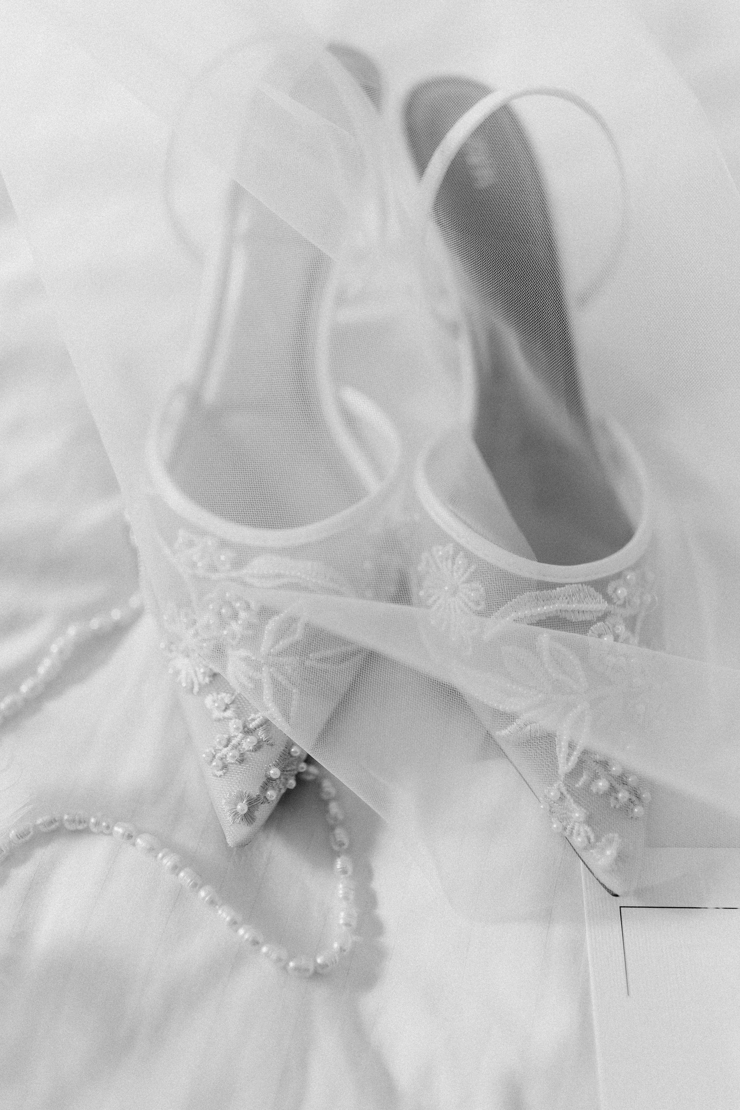 Sasha and Sasha 2025. Весільний та сімейний фотограф Черкаси-Київ