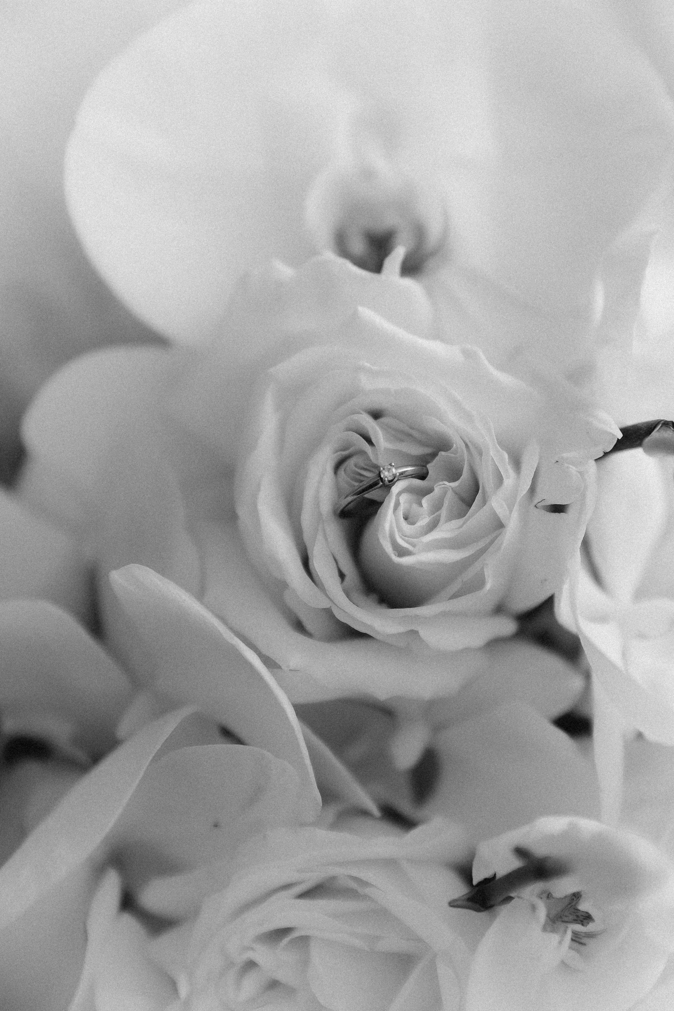 Костя та Катя. Весільний та сімейний фотограф Черкаси-Київ