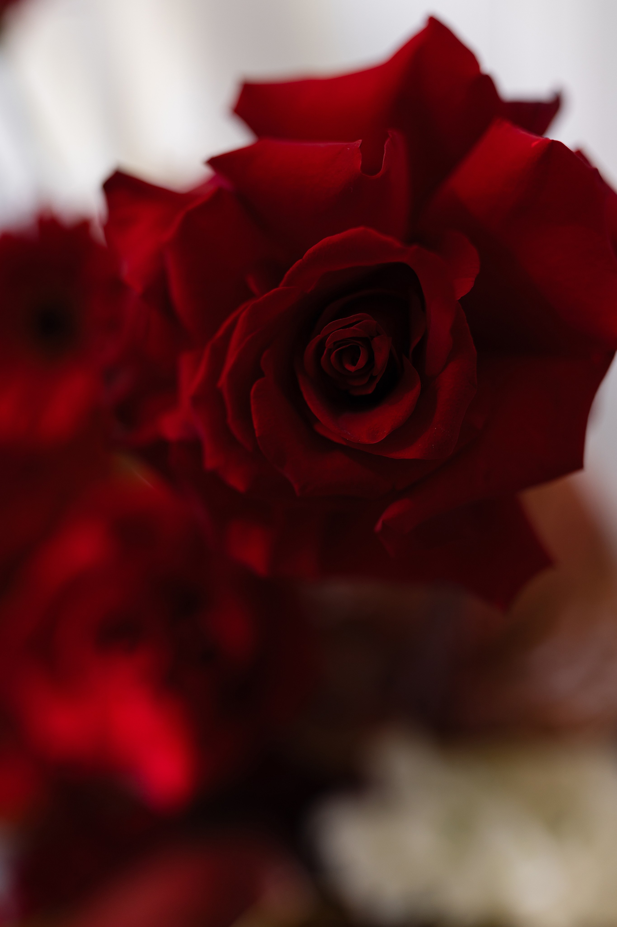 Elena and Nazar 2025. Весільний та сімейний фотограф Черкаси-Київ