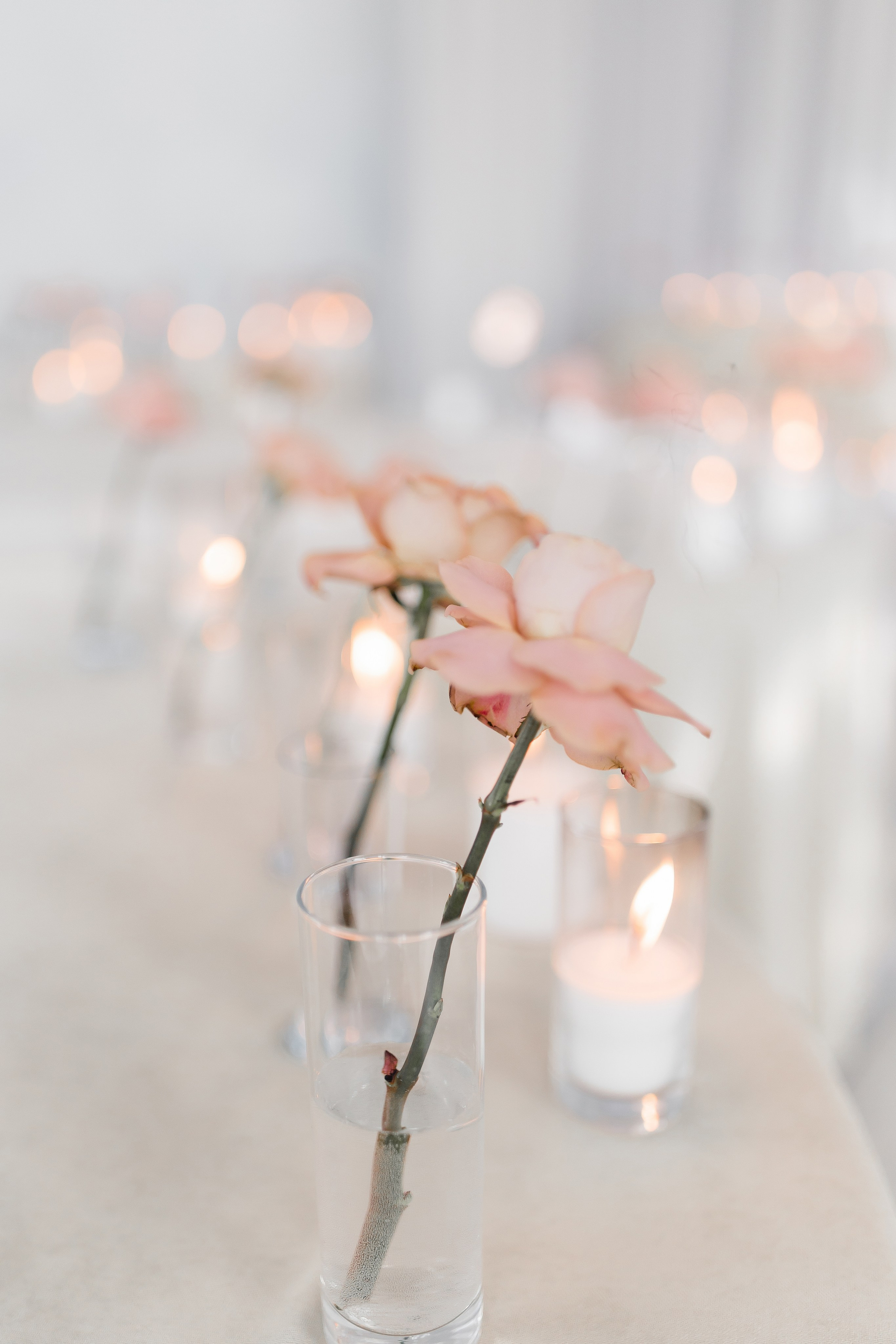 Sasha and Sasha 2025. Весільний та сімейний фотограф Черкаси-Київ