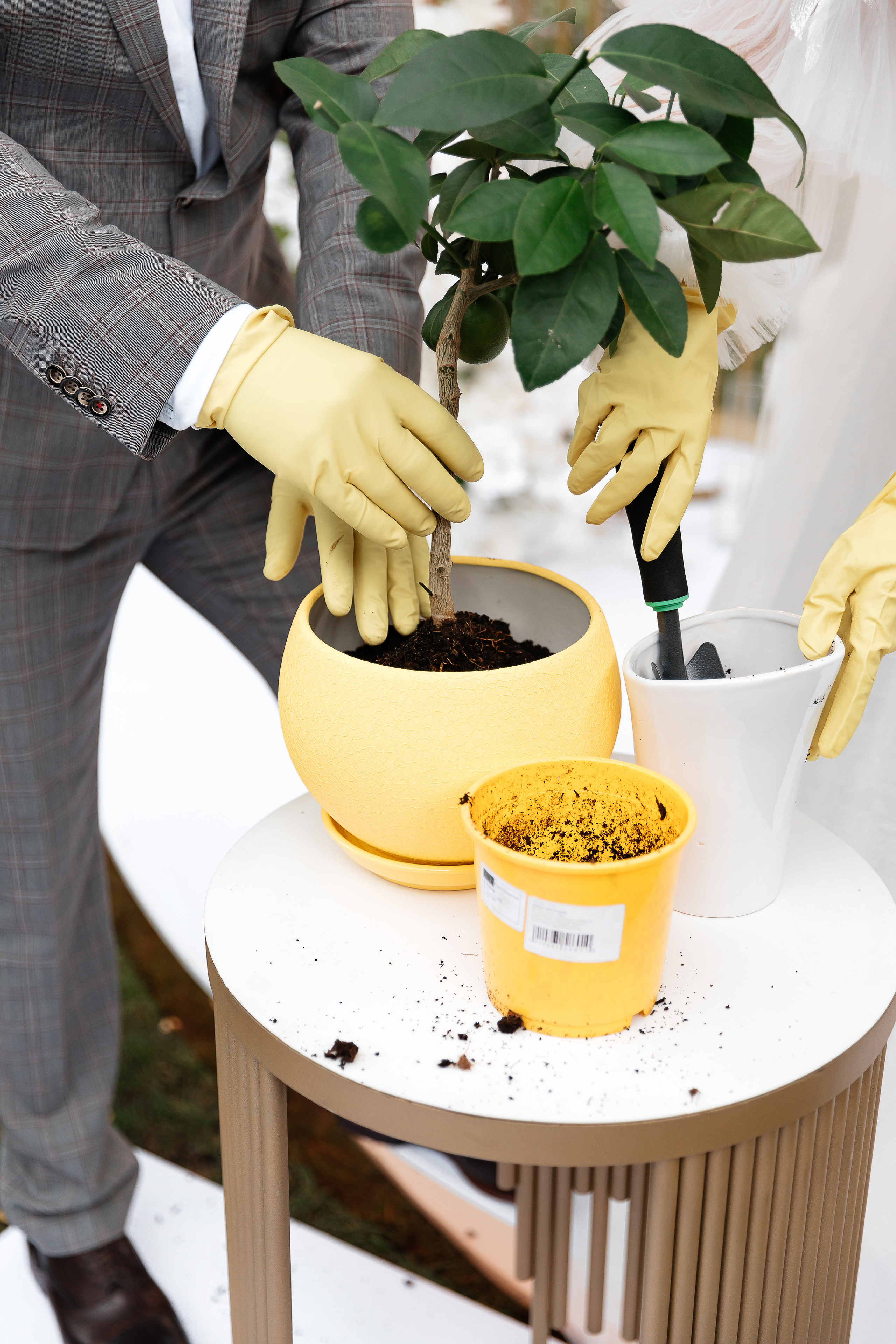 Женя та Руслан. Весільний та сімейний фотограф Черкаси-Київ