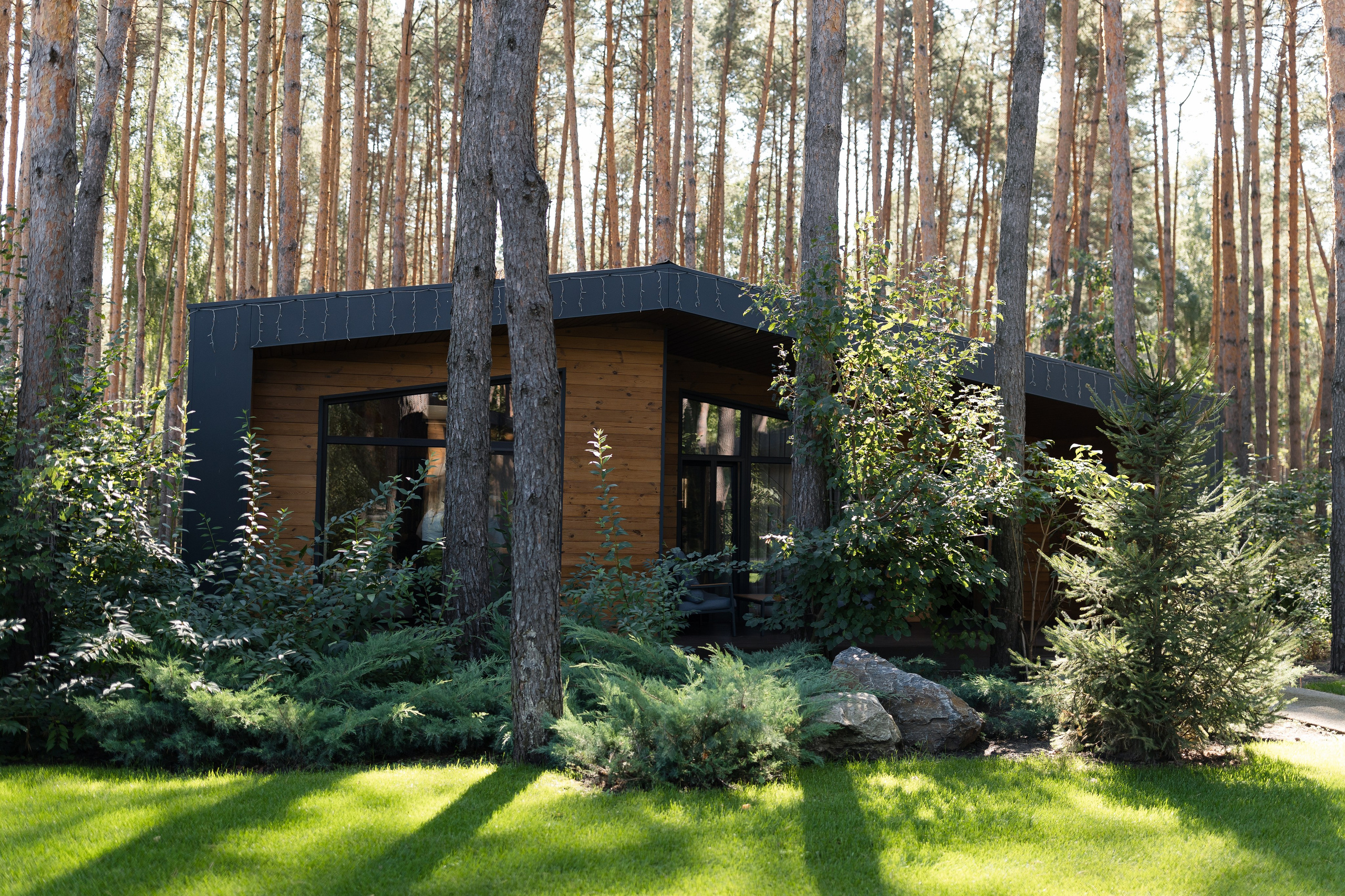 Elena and Nazar 2025. Весільний та сімейний фотограф Черкаси-Київ