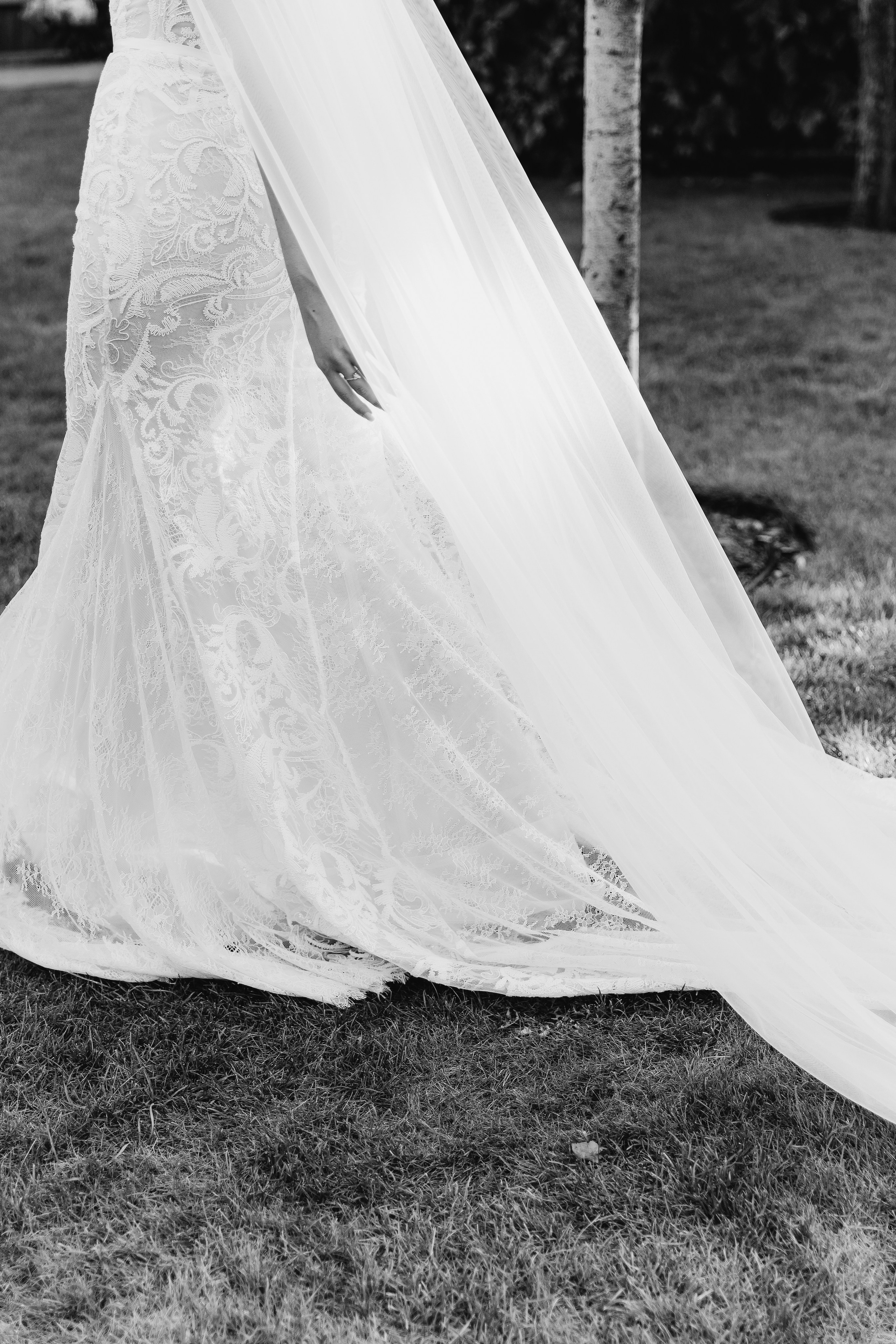 Diana and Ivan 2025. Весільний та сімейний фотограф Черкаси-Київ