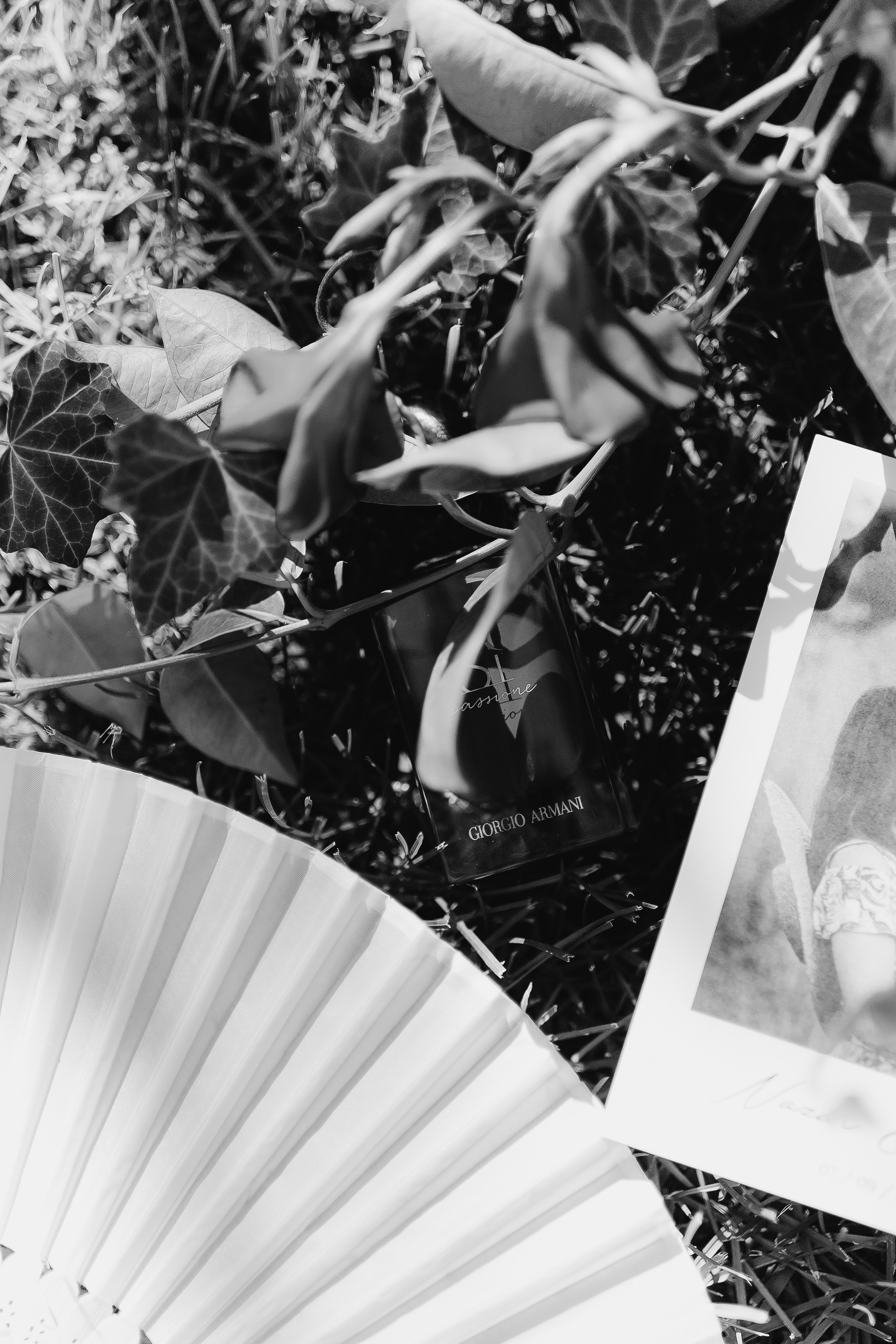 Elena and Nazar 2025. Весільний та сімейний фотограф Черкаси-Київ