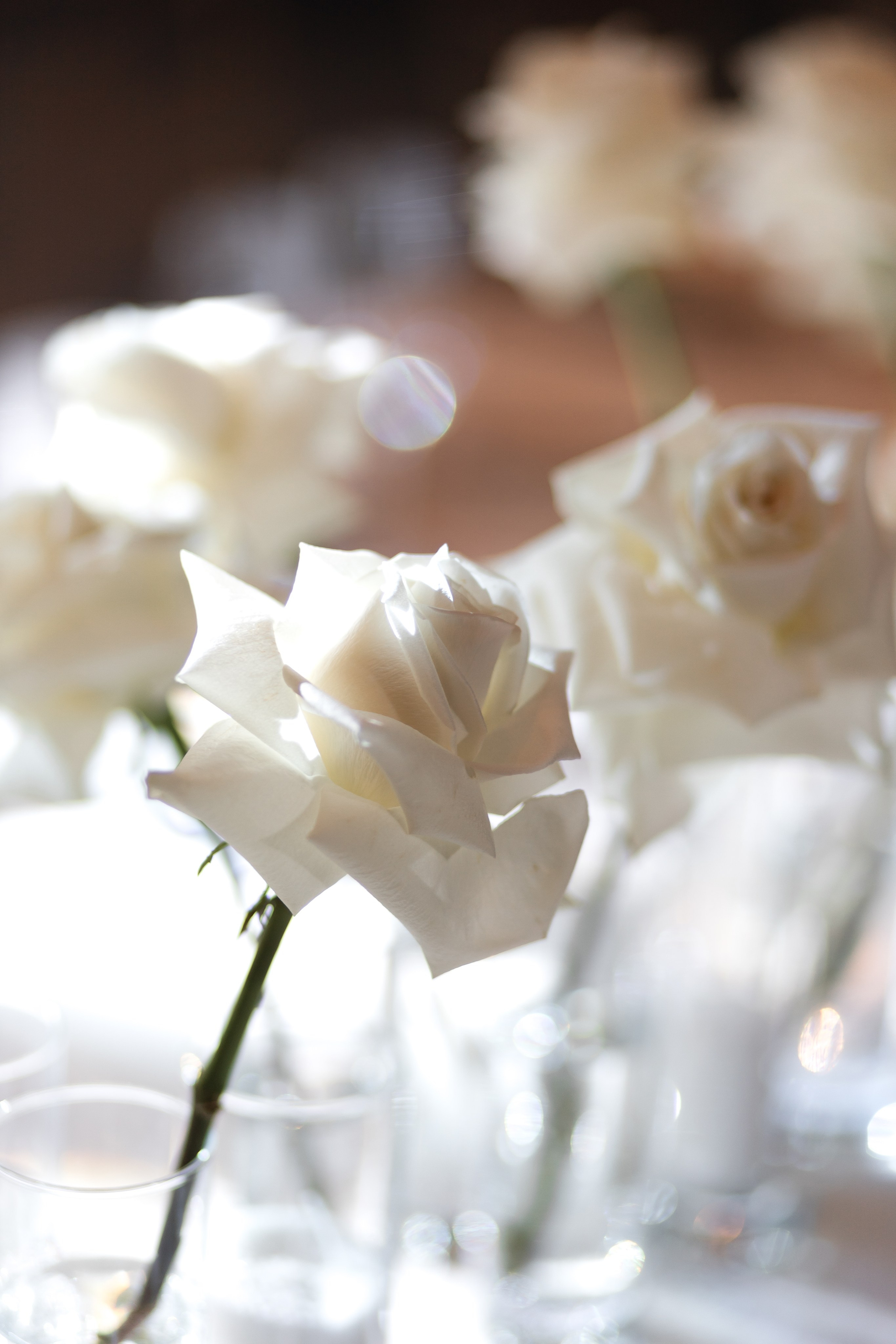 Андрій та Наташа. Весільний та сімейний фотограф Черкаси-Київ