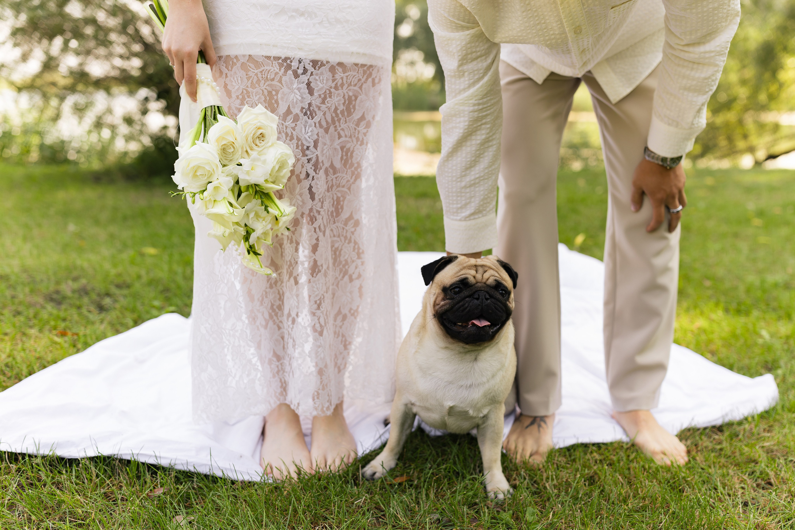 Diana and Ivan 2025. Весільний та сімейний фотограф Черкаси-Київ