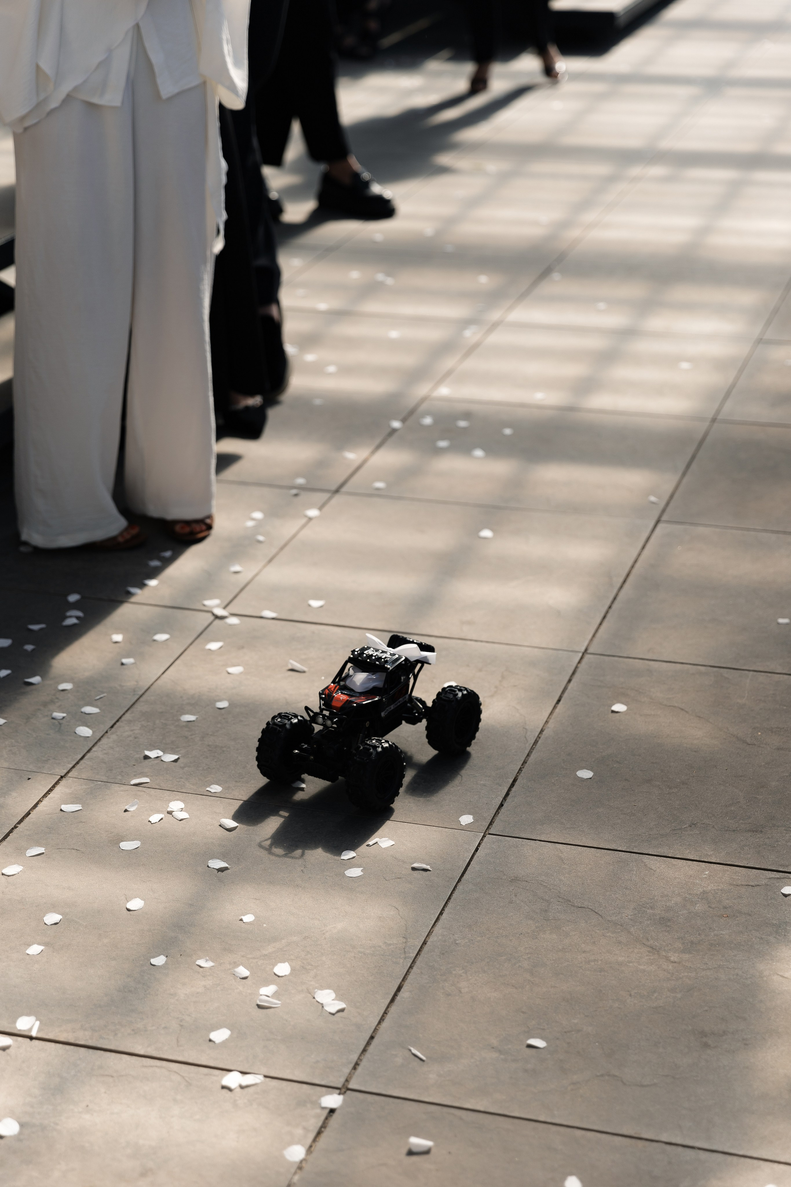Diana and Ivan 2025. Весільний та сімейний фотограф Черкаси-Київ