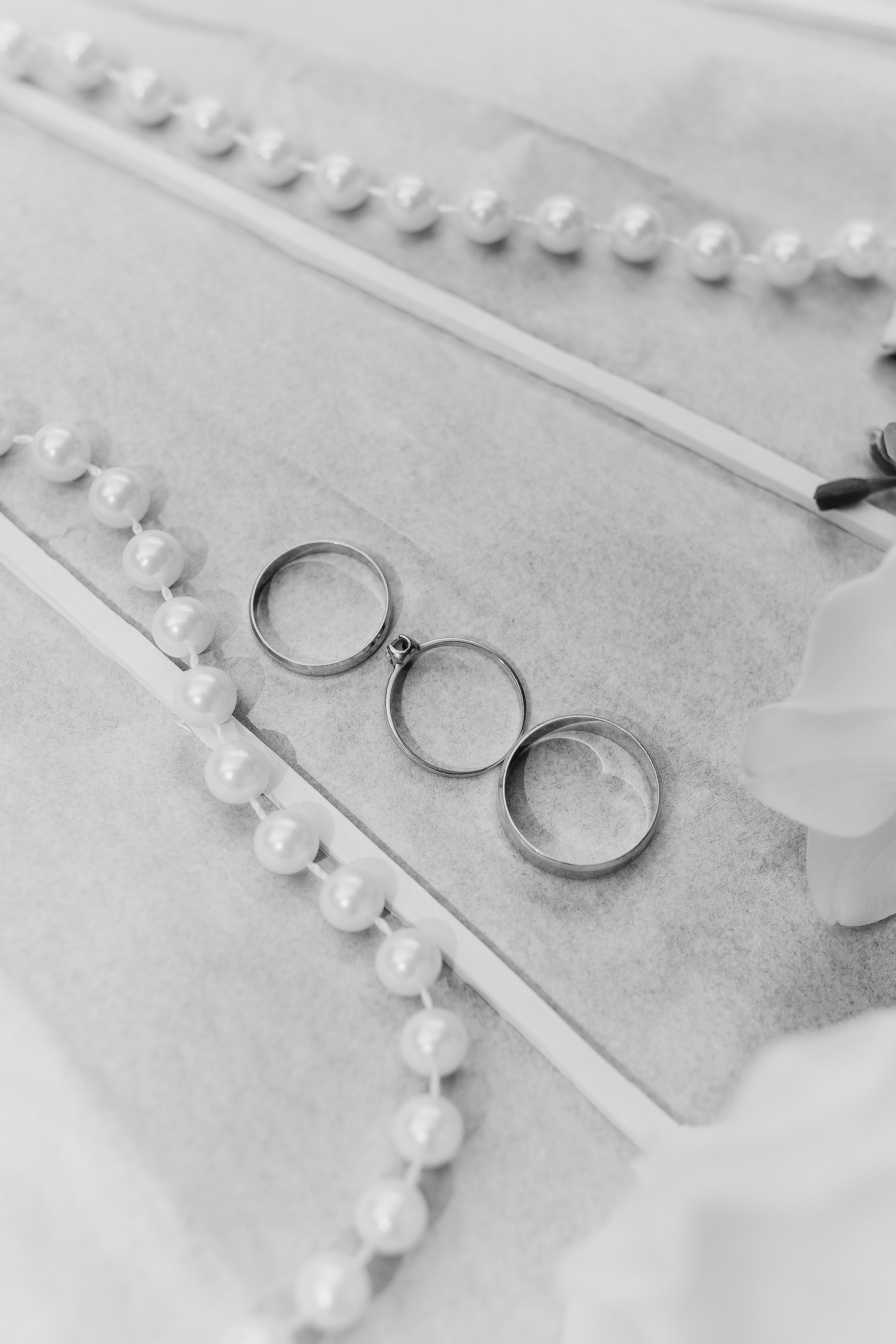 Diana and Ivan 2025. Весільний та сімейний фотограф Черкаси-Київ