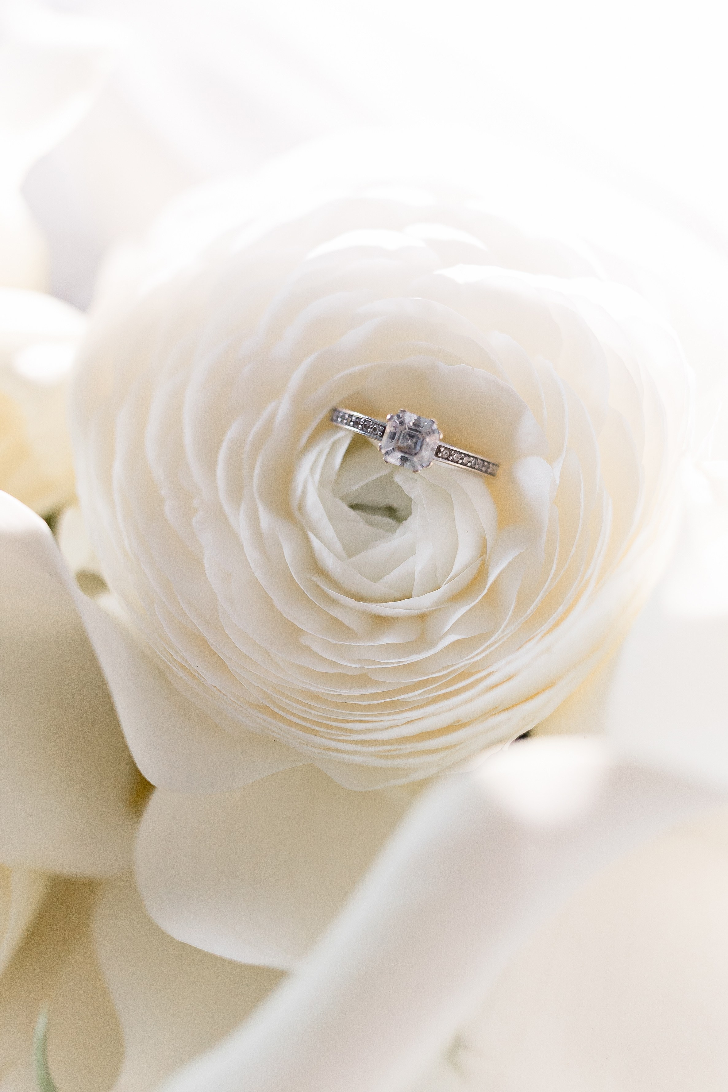 Sasha and Sasha 2025. Весільний та сімейний фотограф Черкаси-Київ