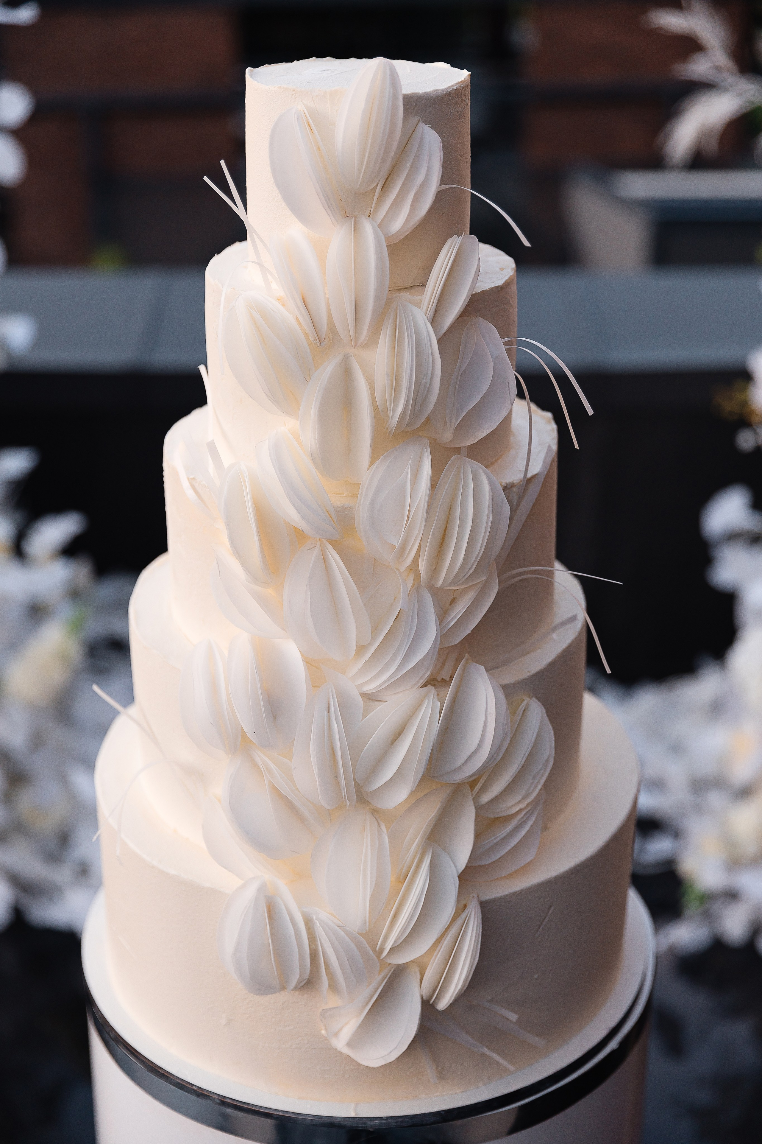 Костя та Катя. Весільний та сімейний фотограф Черкаси-Київ