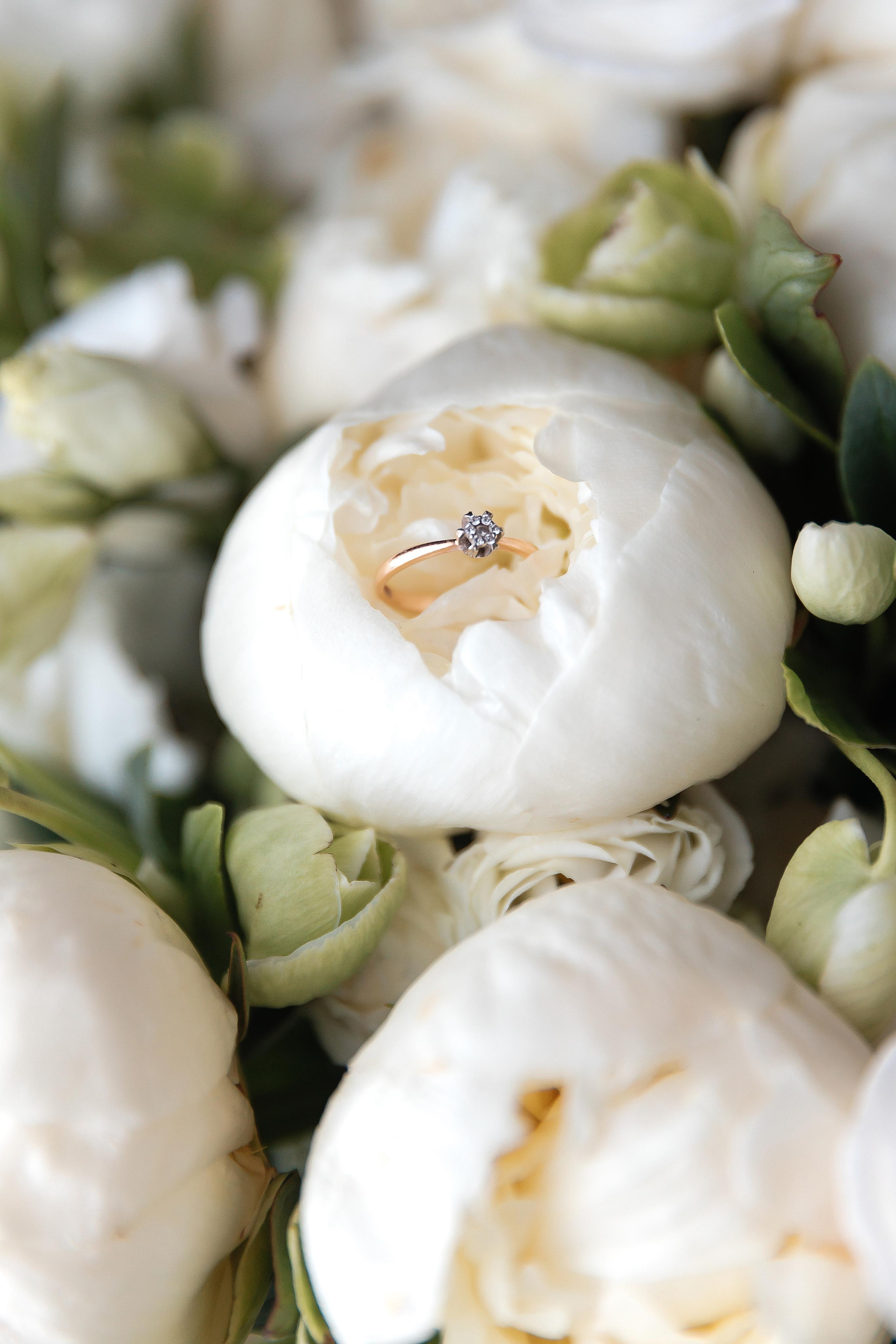 Оля та Влад. Весільний та сімейний фотограф Черкаси-Київ