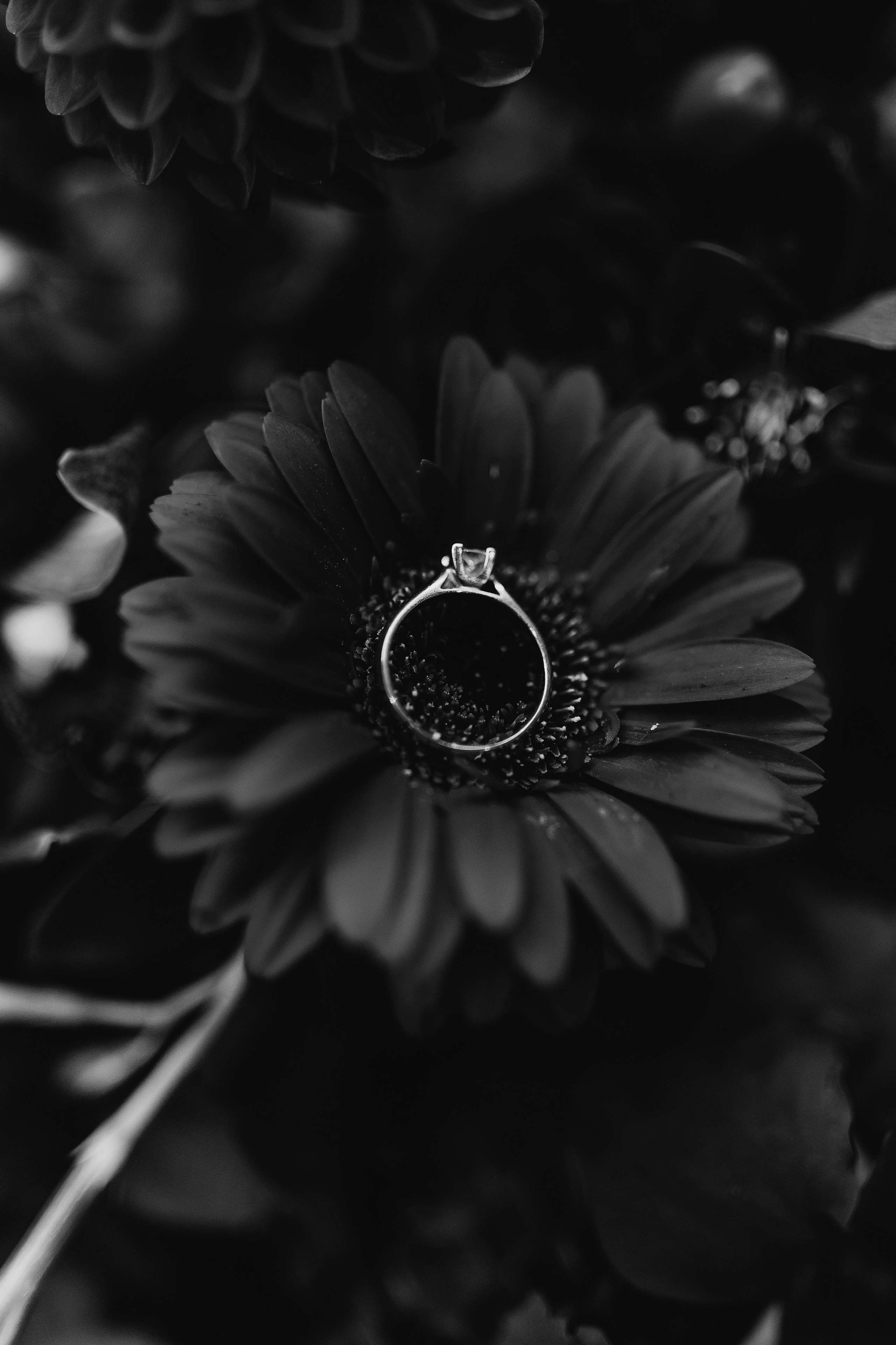 Elena and Nazar 2025. Весільний та сімейний фотограф Черкаси-Київ