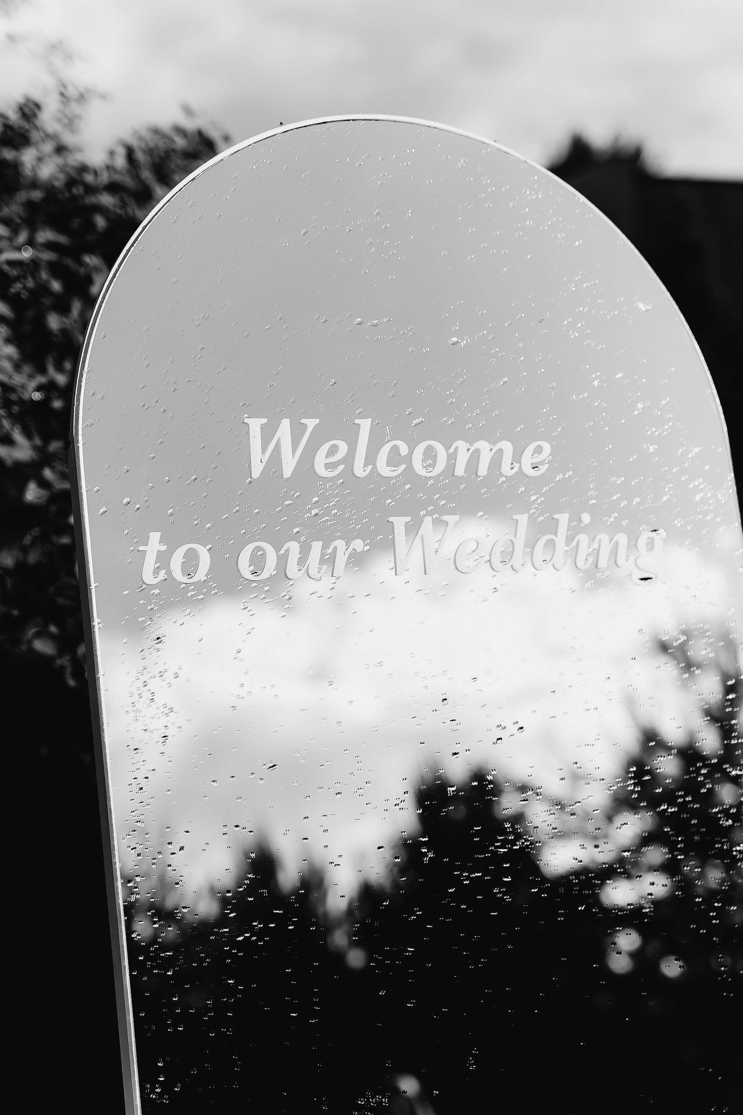 Sasha and Sasha 2025. Весільний та сімейний фотограф Черкаси-Київ