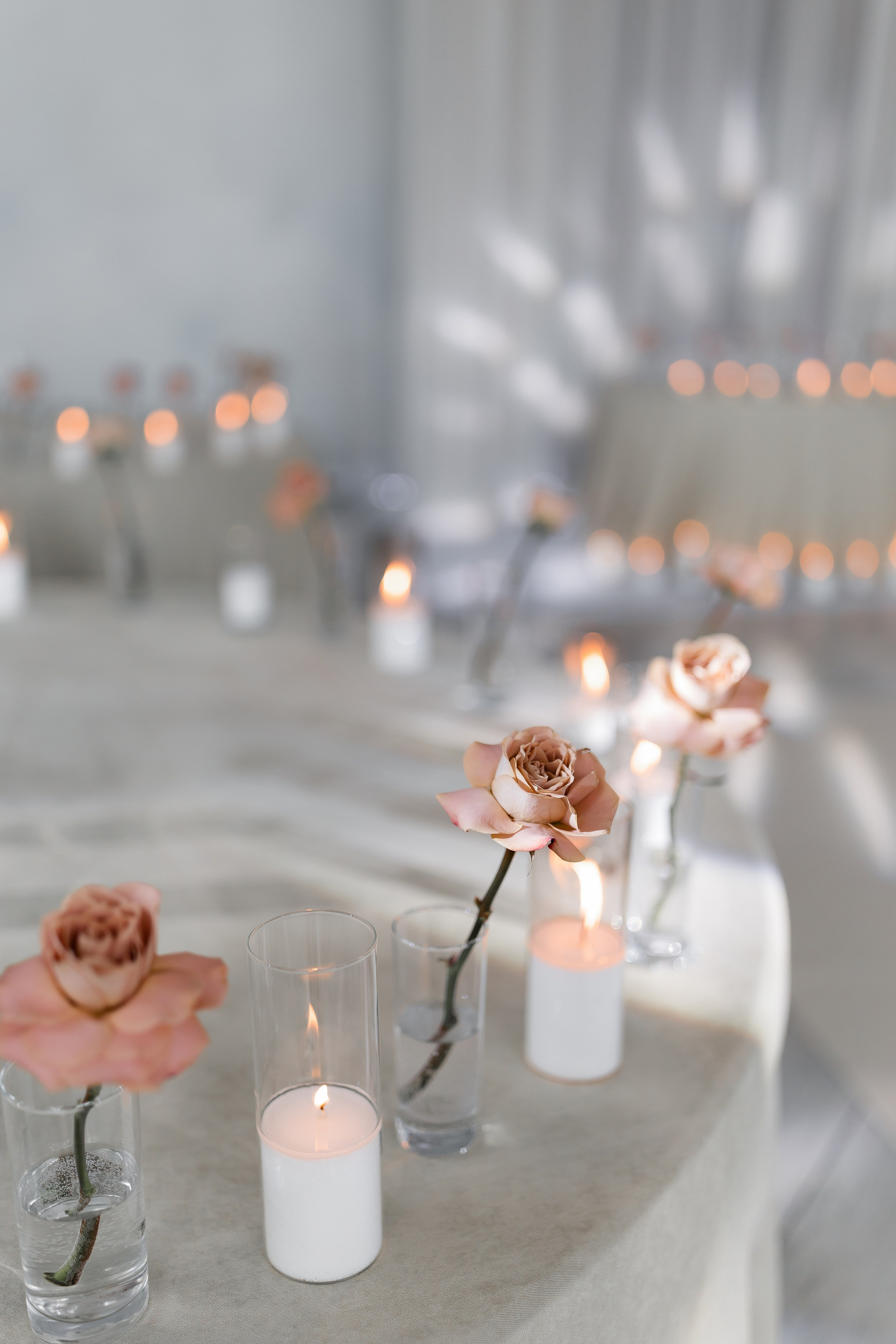 Sasha and Sasha 2025. Весільний та сімейний фотограф Черкаси-Київ