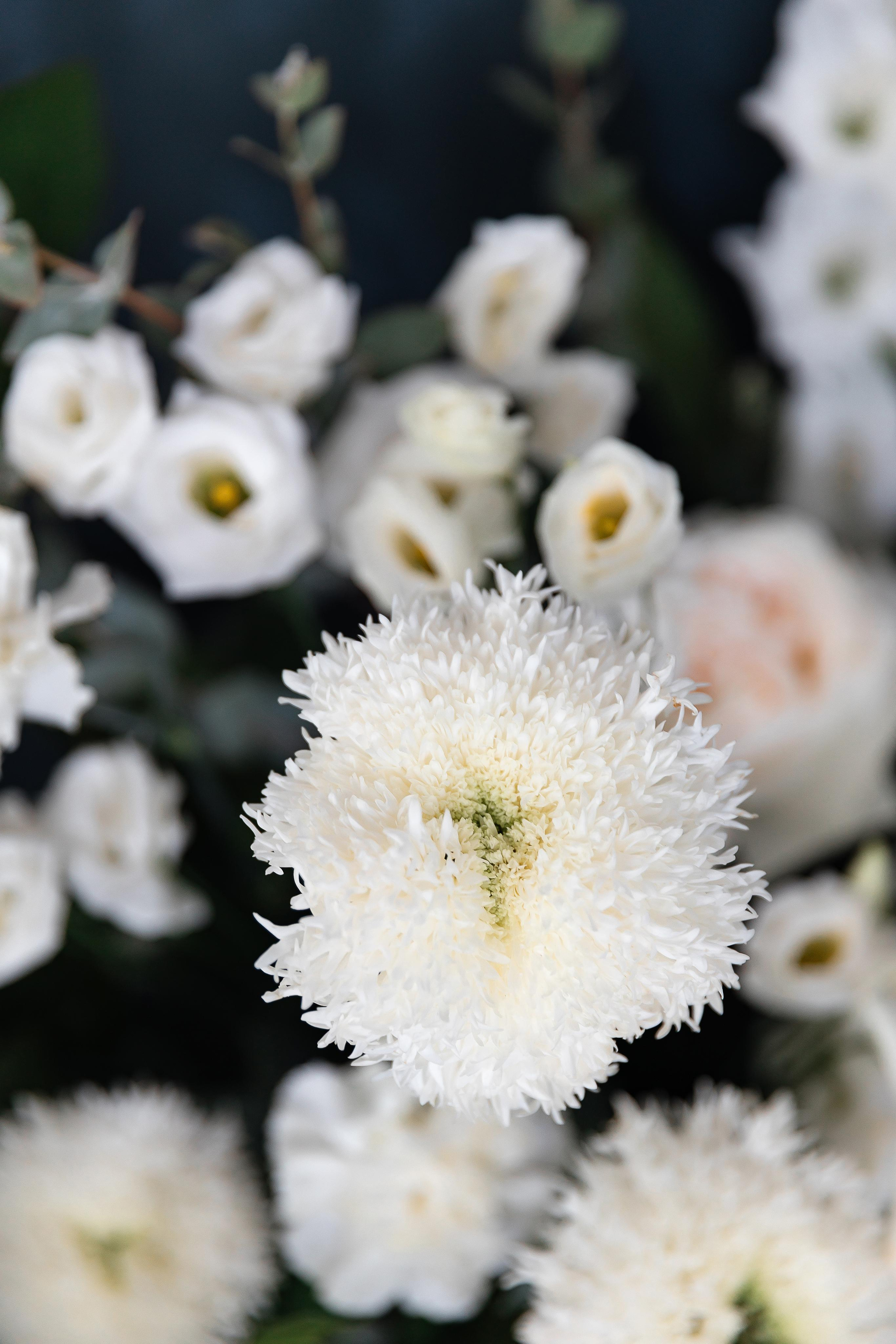 Оля та Влад. Весільний та сімейний фотограф Черкаси-Київ